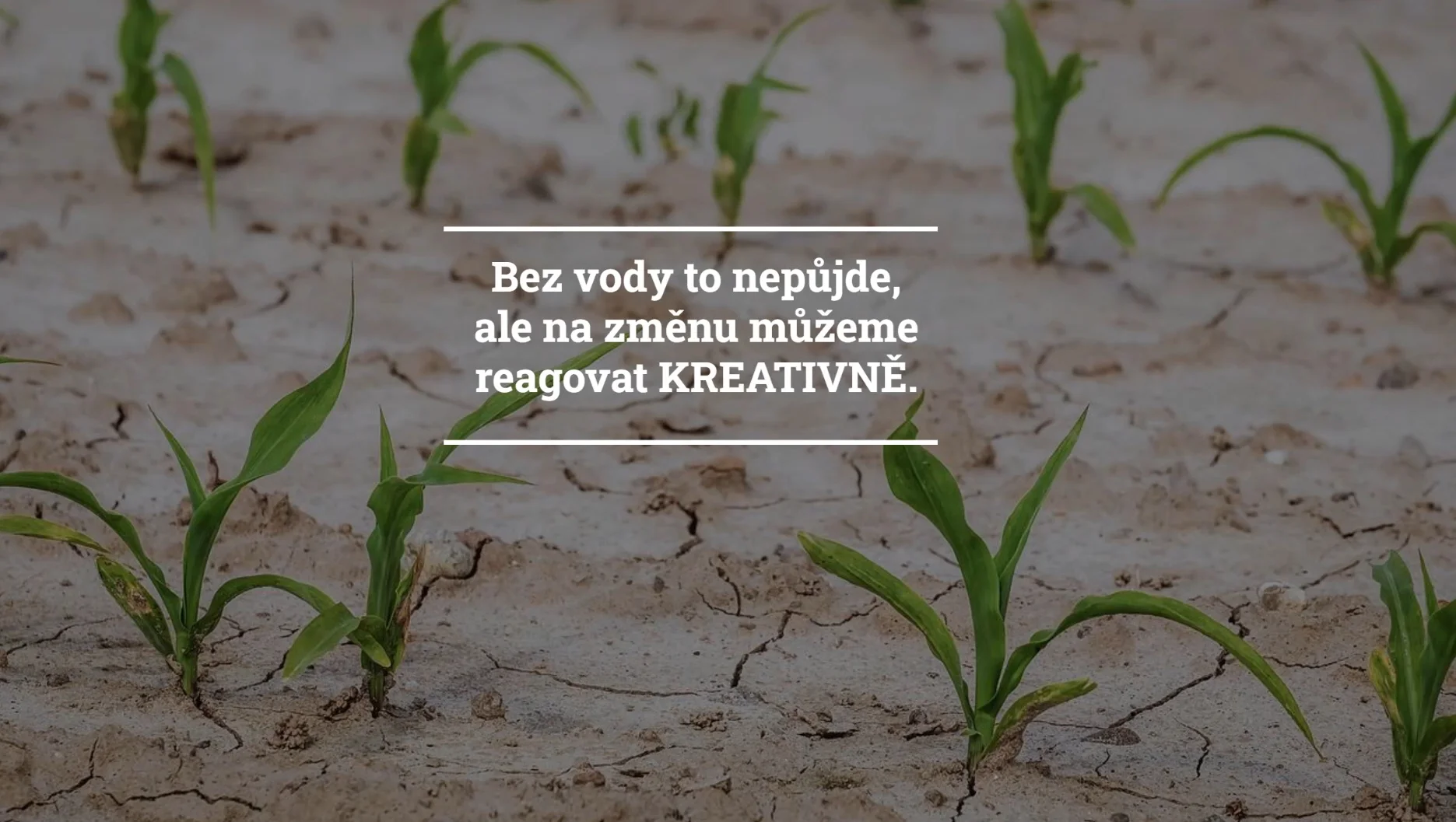 Online kurzy ekologického zahradničení: pro zeleninu bez chemie a rytí, pro sklizeň během mrazivé zimy i suchého léta