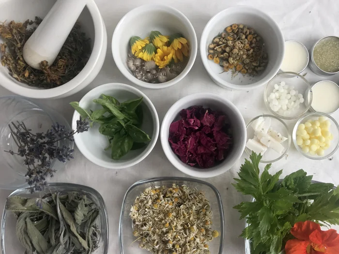 Kurz výroby bylinných čajů vč. ochutnávky, pro 1 nebo 2 osoby