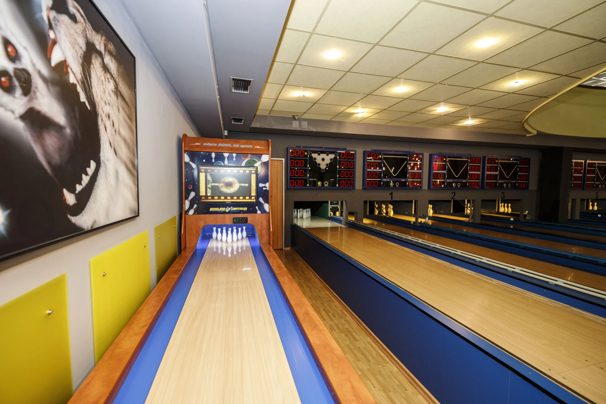 Dvě hodiny bowlingu až pro 8 hráčů a kilo kuřecích řízků s okurkami i pečivem