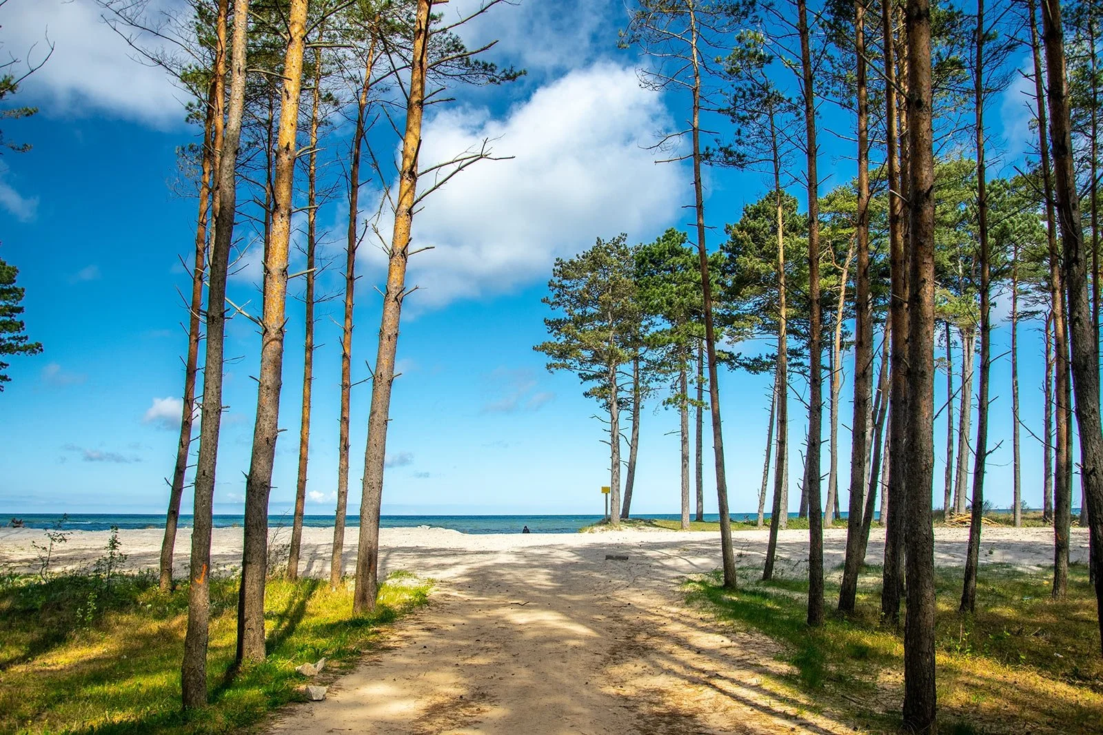Pobyt přímo u Baltu pro pár i rodinu: polopenze a neomezený wellness, akce 2 děti zdarma