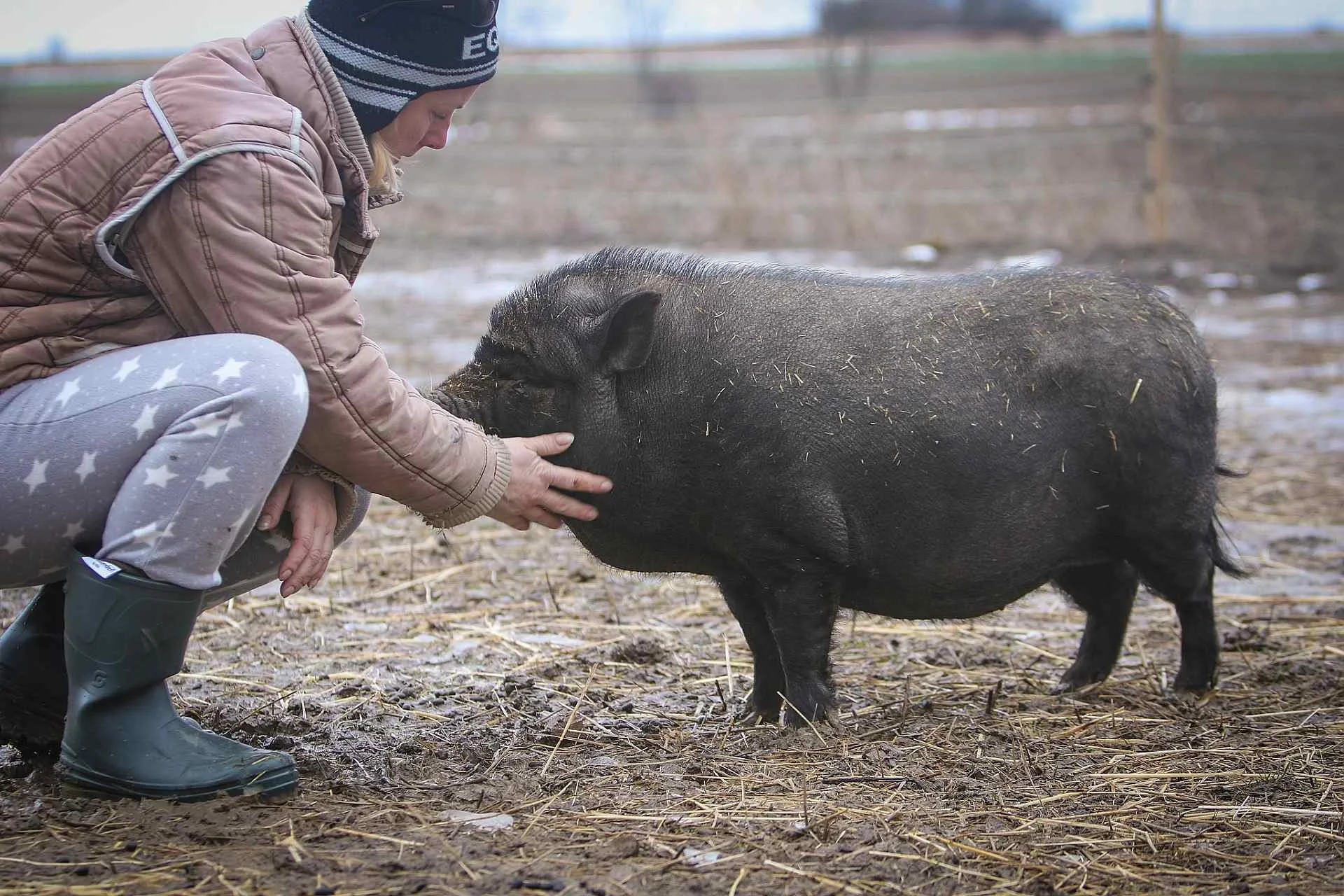 Rodinný vstup na statek se spoustou zvířat: velbloudi, pštros, opičky, kozy, lamy i chameleon
