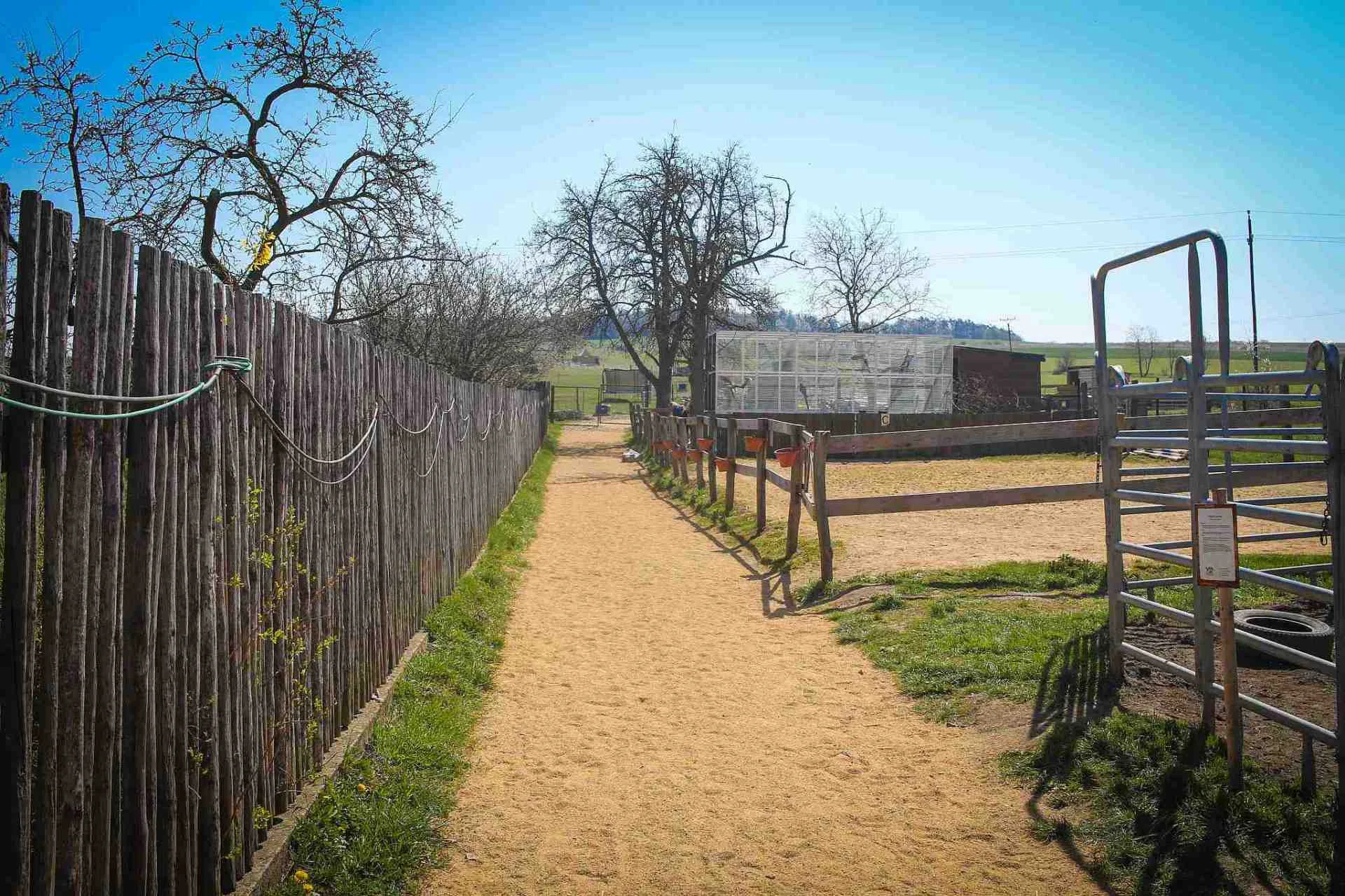 Zvířata na dosah ruky: VIP vstup na Statek u Merlina vč. vstupenky do zooparku pro všechny