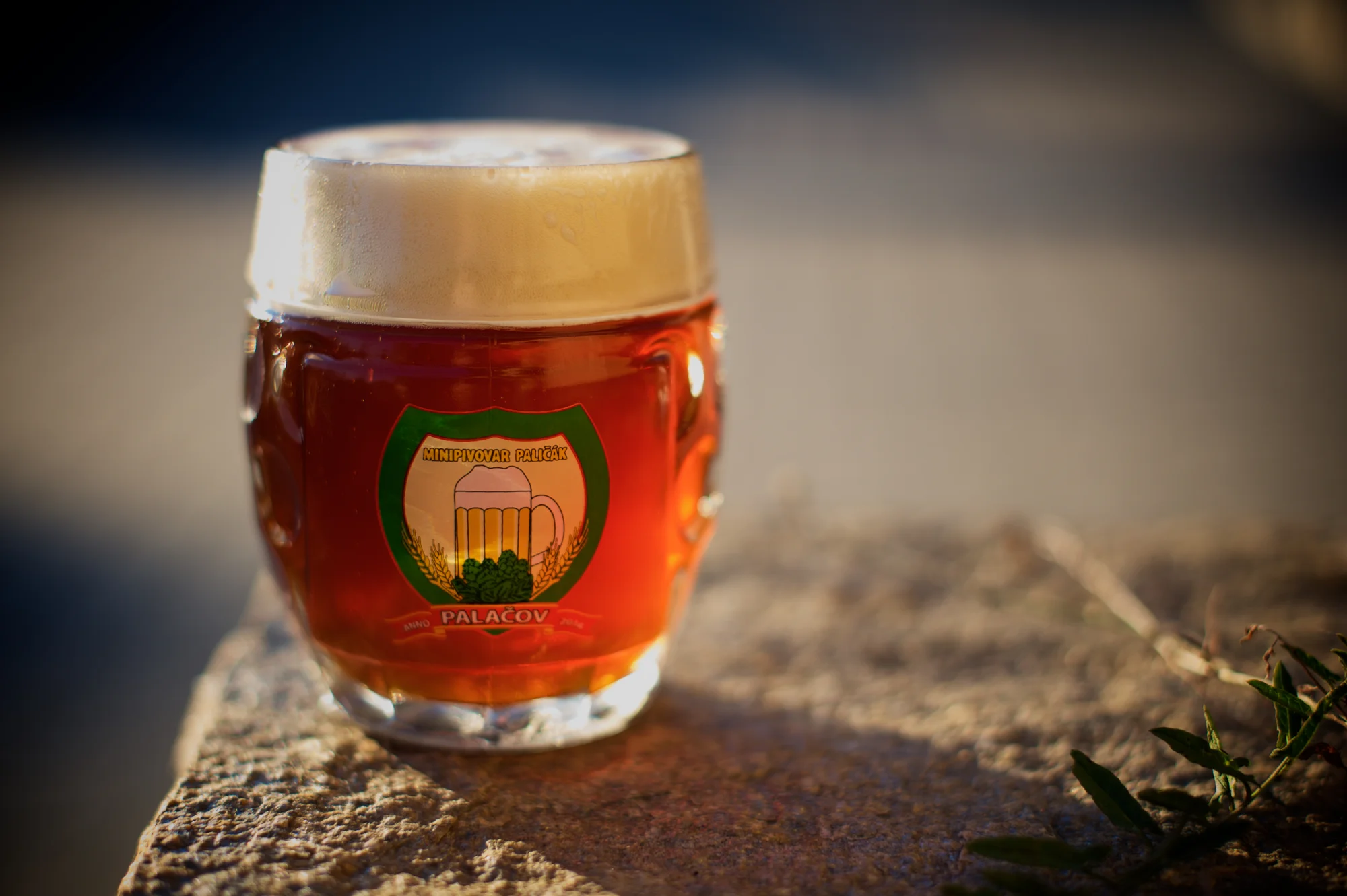 Uvařte si vlastní pivo: na den sládkem v minipivovaru Paličák pro 1 i 2 osoby
