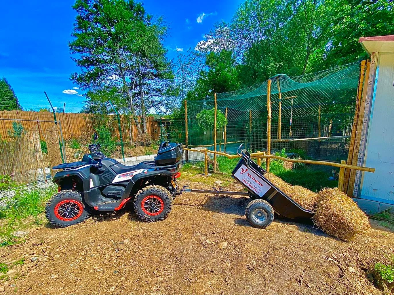 Zoo Plasy: krmení mývalů, surikat i šelem či možnost stát se na pár hodin ošetřovatelem