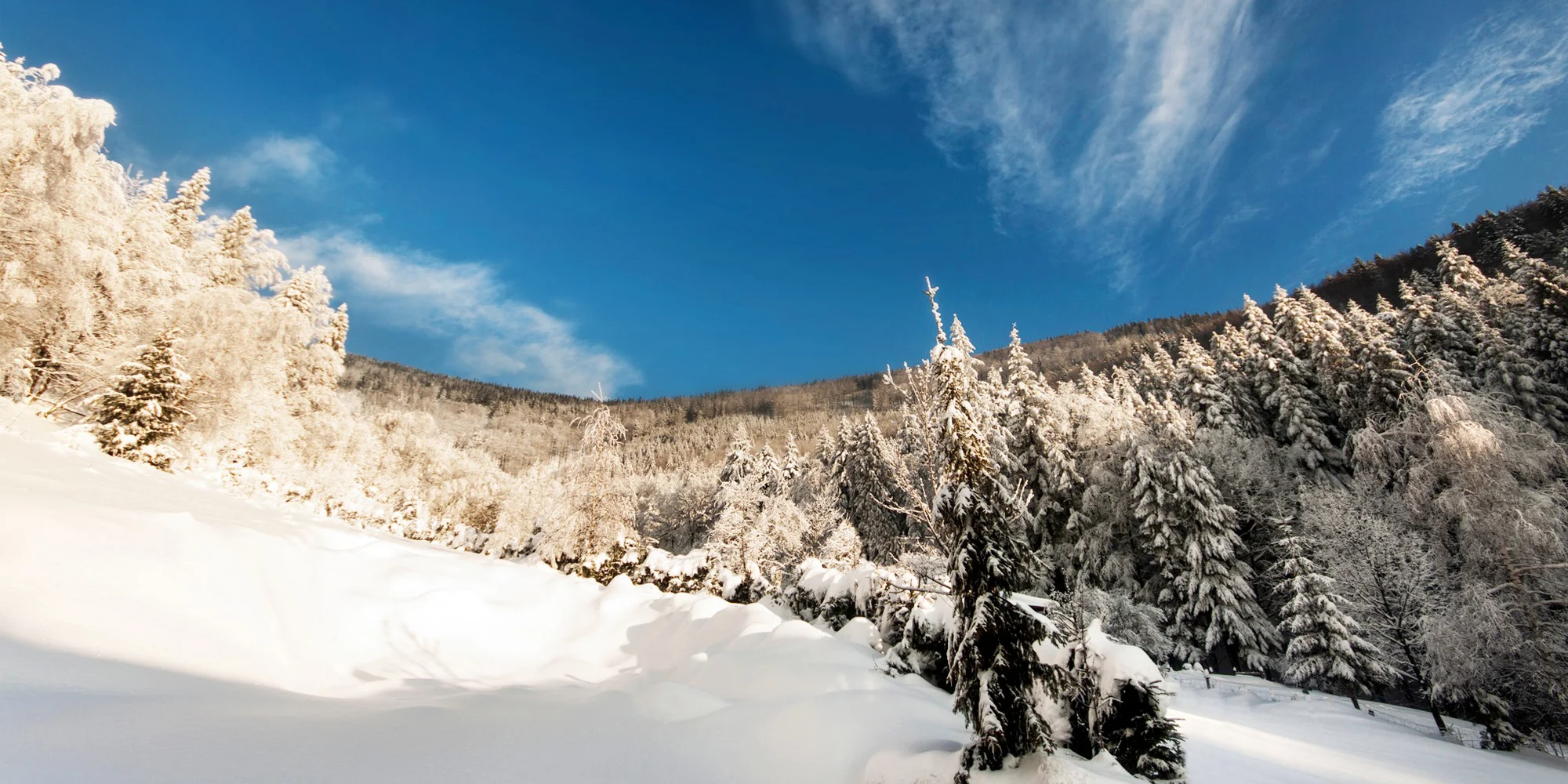 5* resort v polských Beskydech: pobyt až pro 6 osob s jídlem, bazénem, vířivkou i saunou, akce 2 děti zdarma