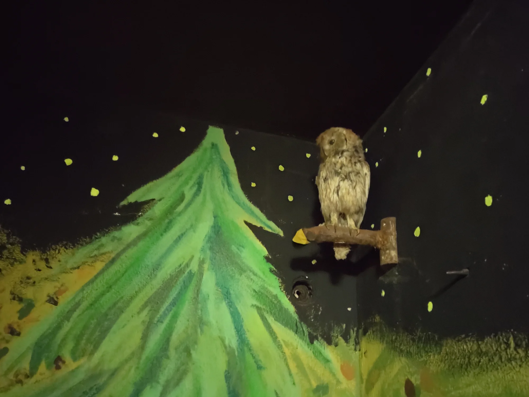 Únikovka Paralelní vesmír až pro 6 hráčů: napínavá hra s limitem 66 minut