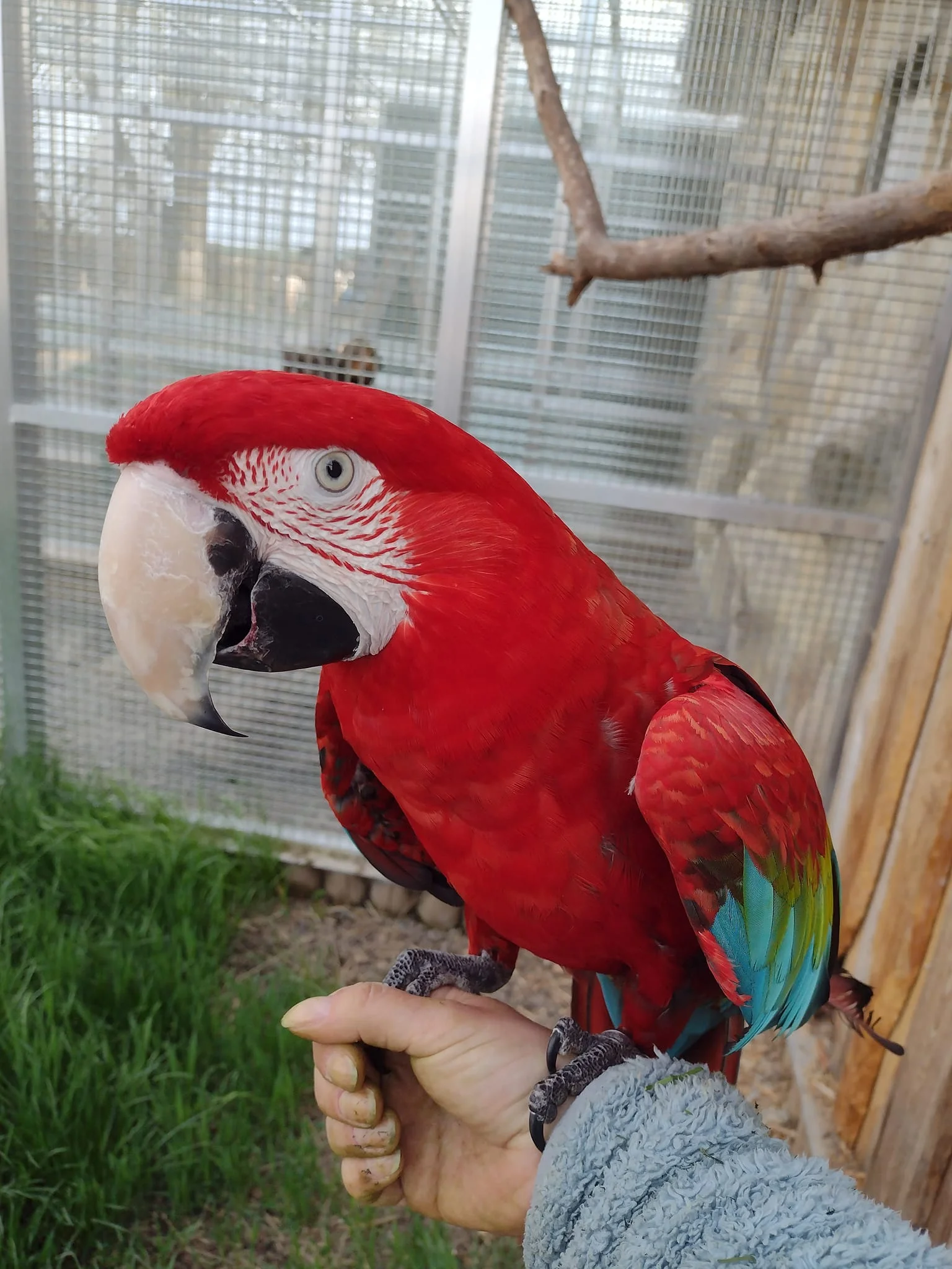 Zvířata na dosah ruky: VIP vstup na Statek u Merlina vč. vstupenky do zooparku pro všechny