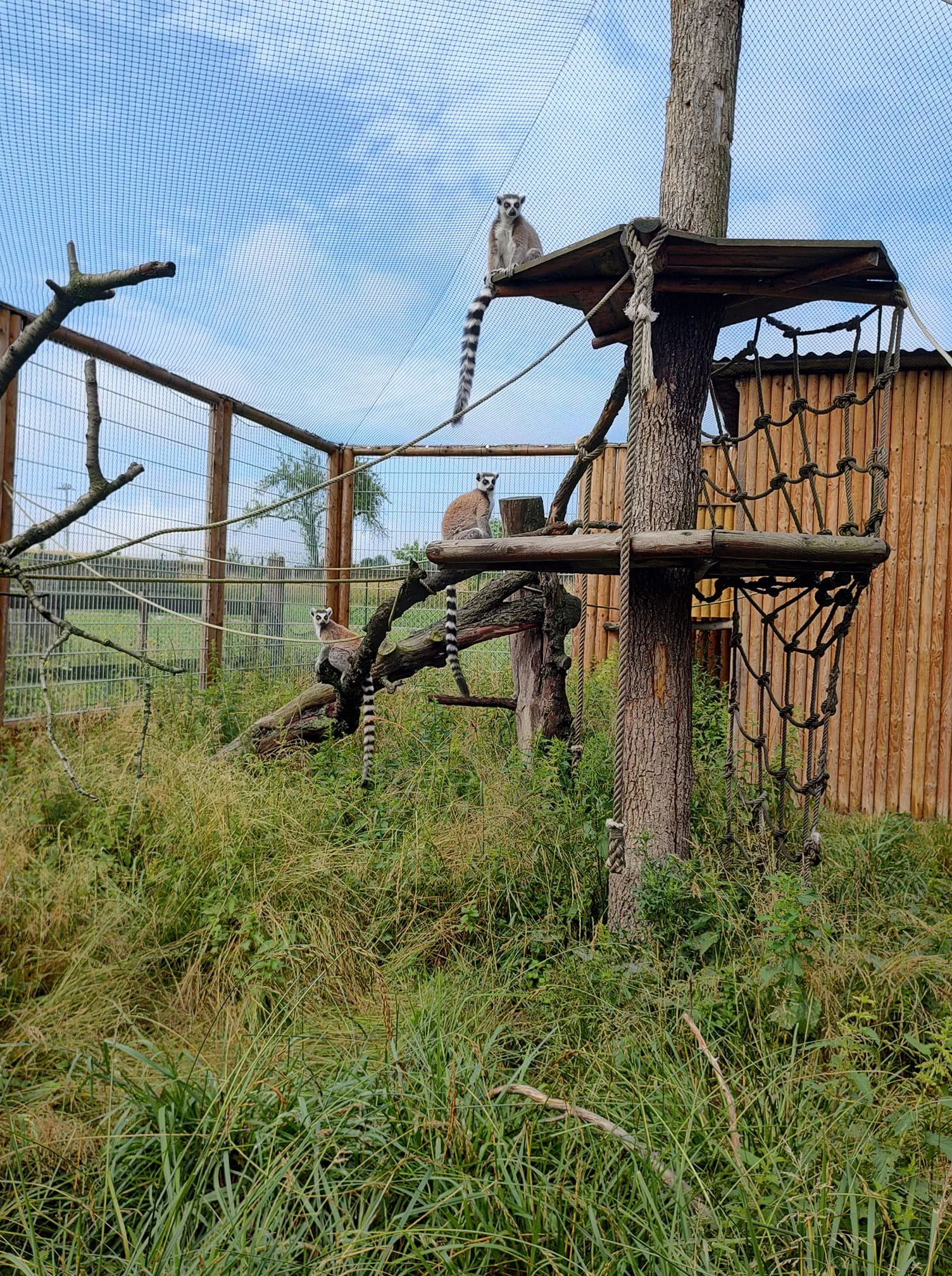 Zvířata na dosah ruky: VIP vstup na Statek u Merlina vč. vstupenky do zooparku pro všechny