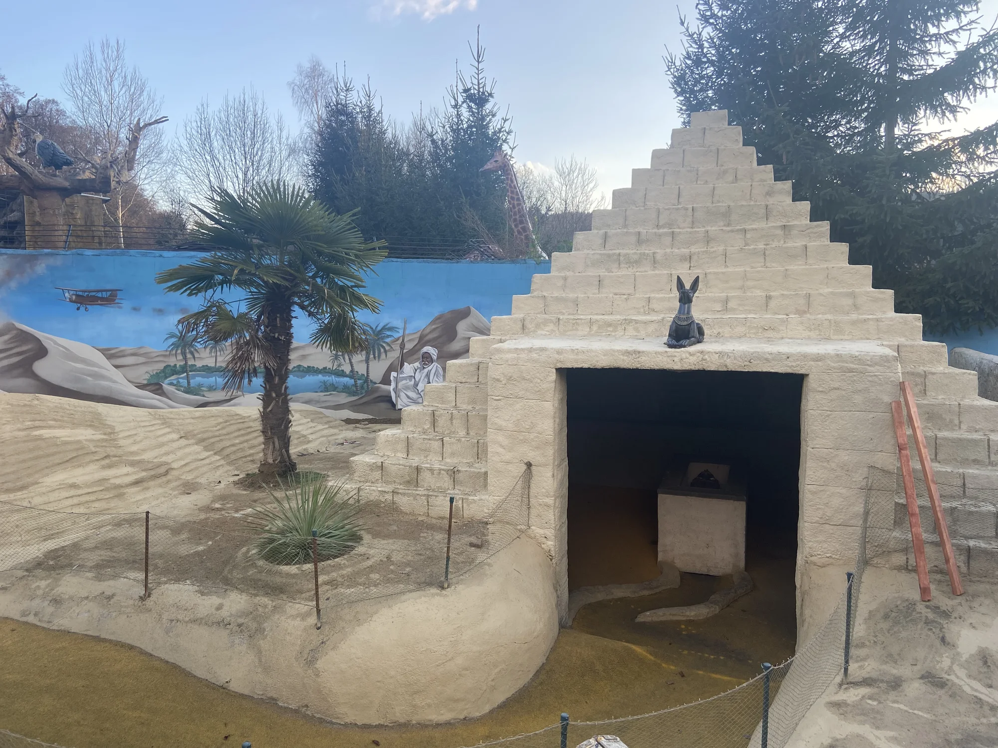 Zoo Plasy: krmení mývalů, surikat i šelem či možnost stát se na pár hodin ošetřovatelem