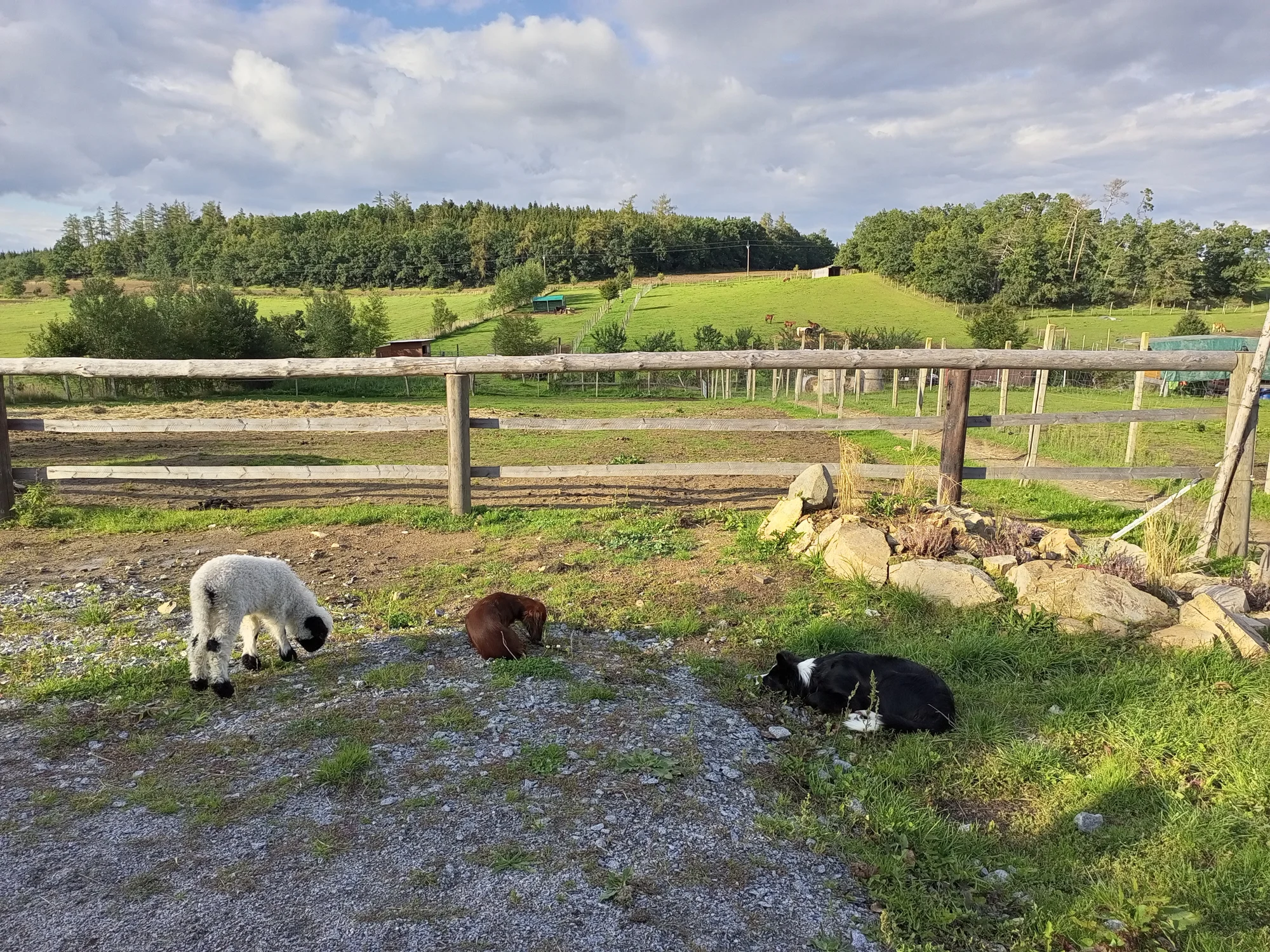 Farmářem na zkoušku: den na statku, jízda na koni a v traktoru, práce se zvířaty