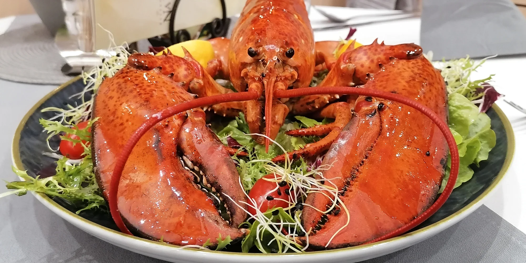 Degustační menu s humřími specialitami: prosecco, předkrm, humr na různé způsoby a dezert