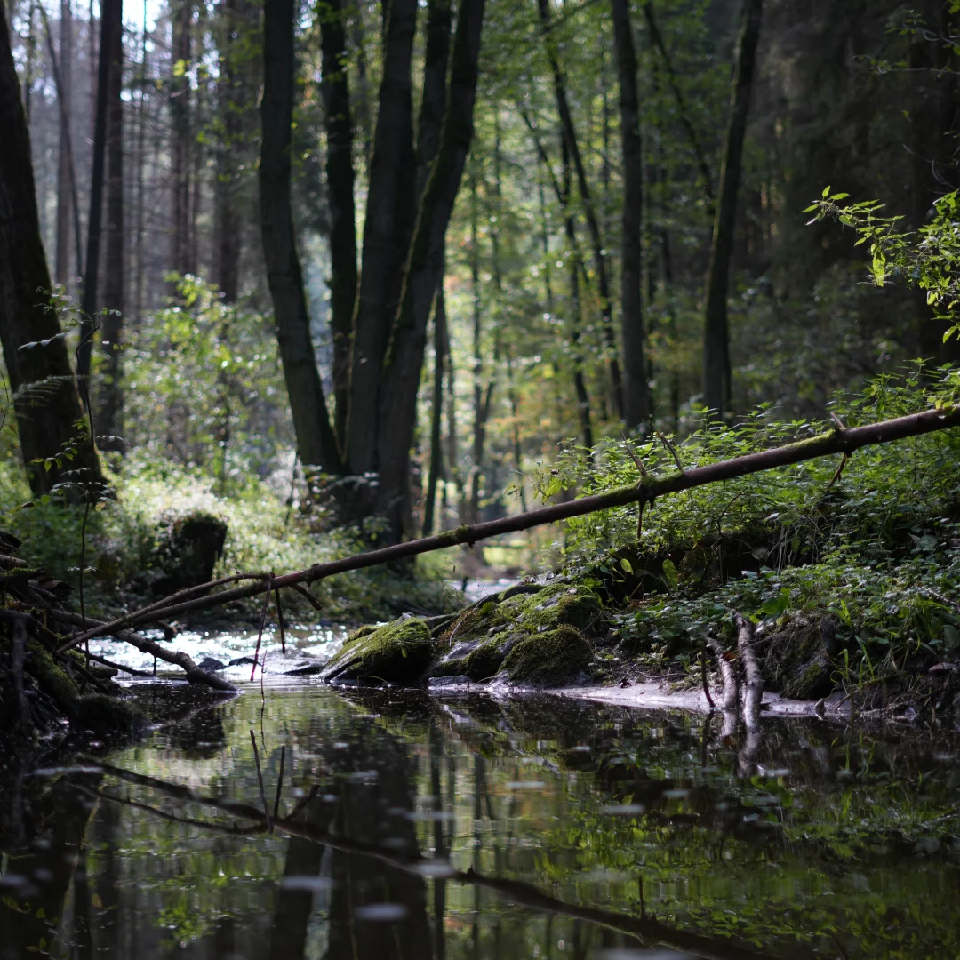 Glamping pro dva ve středních Čechách: romantika, soukromí i sauna