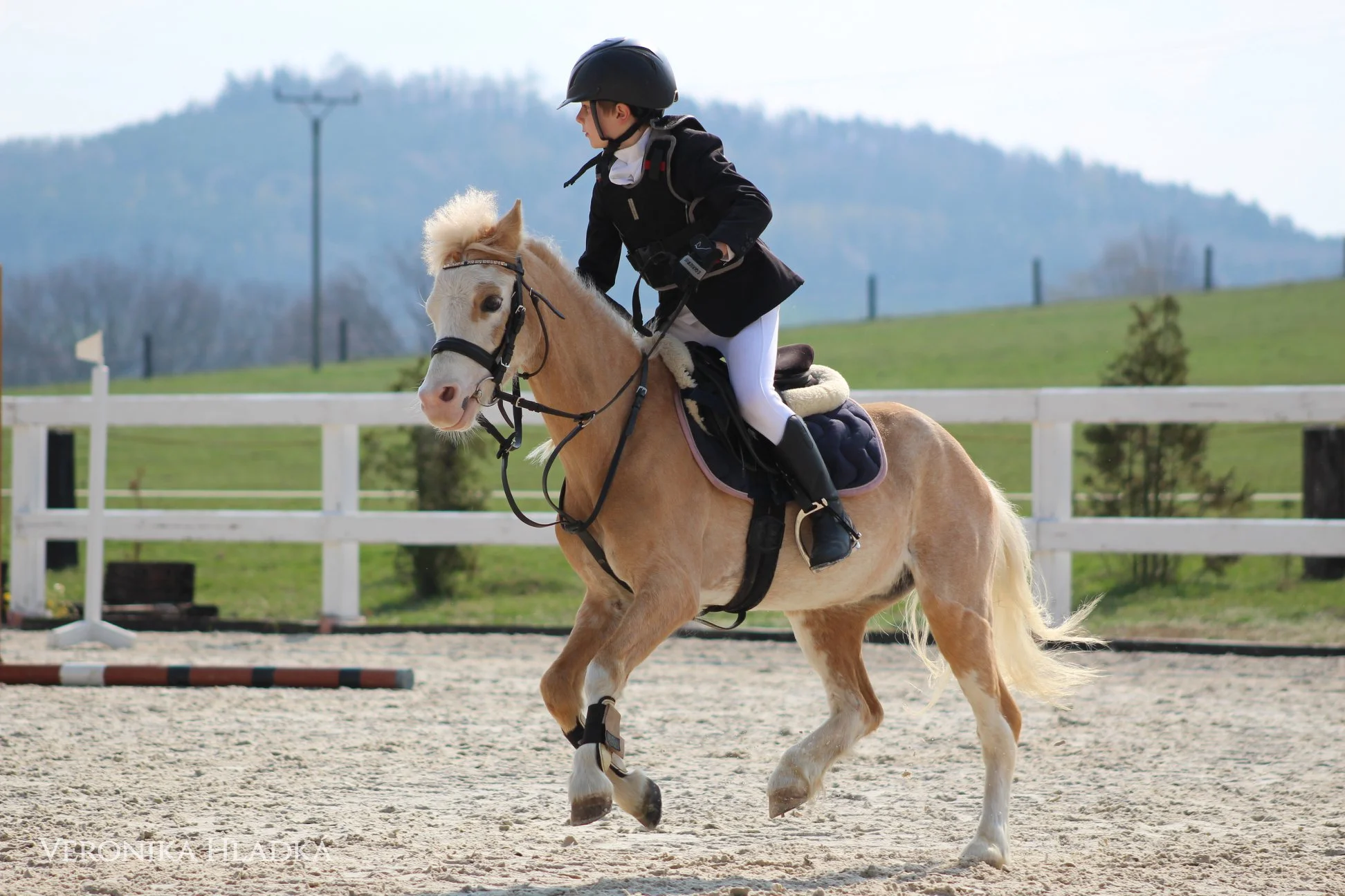 Projížďka na oslíkovi nebo poníkovi pro děti: zážitek v přírodě na 20 či 45 min.