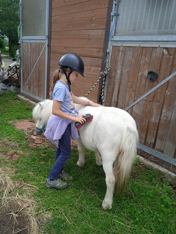 Projížďka na oslíkovi nebo poníkovi pro děti: zážitek v přírodě na 20 či 45 min.