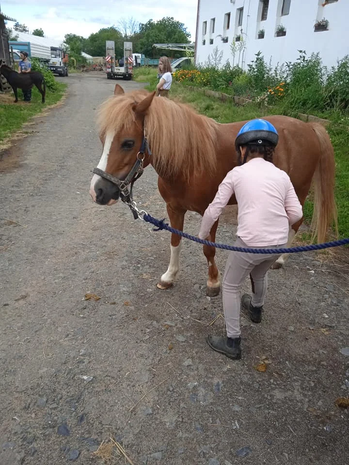 Projížďka na oslíkovi nebo poníkovi pro děti: zážitek v přírodě na 20 či 45 min.