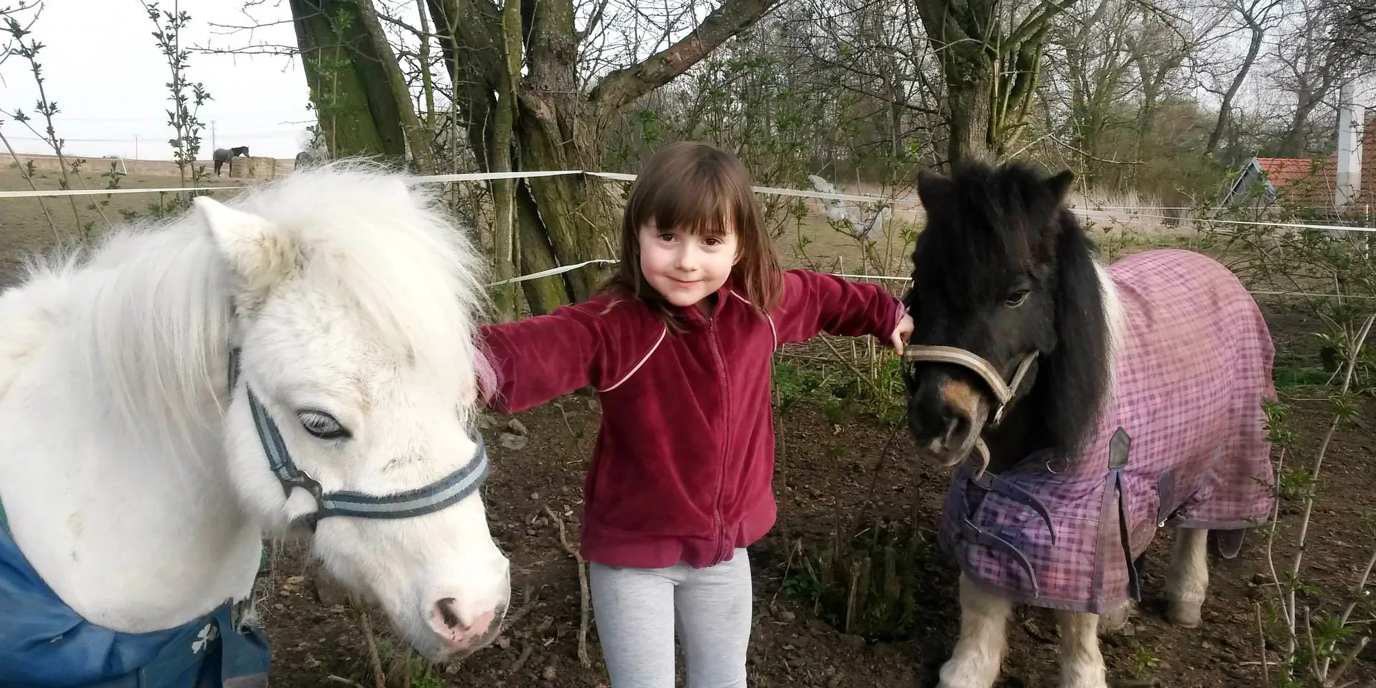 Projížďka na oslíkovi nebo poníkovi pro děti: zážitek v přírodě na 20 či 45 min.