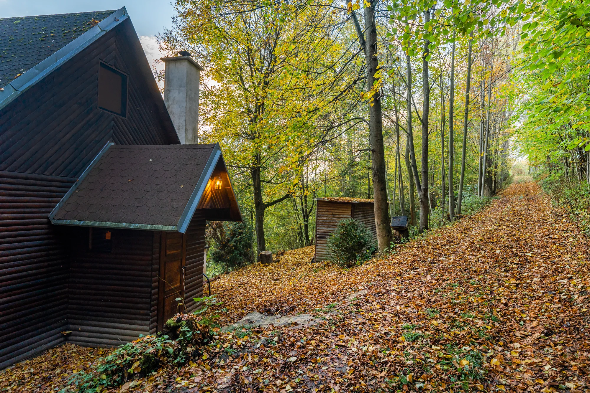 Pobyt v malebné wellness chatě u lesa: sauna, vířivka i zapůjčení lodičky