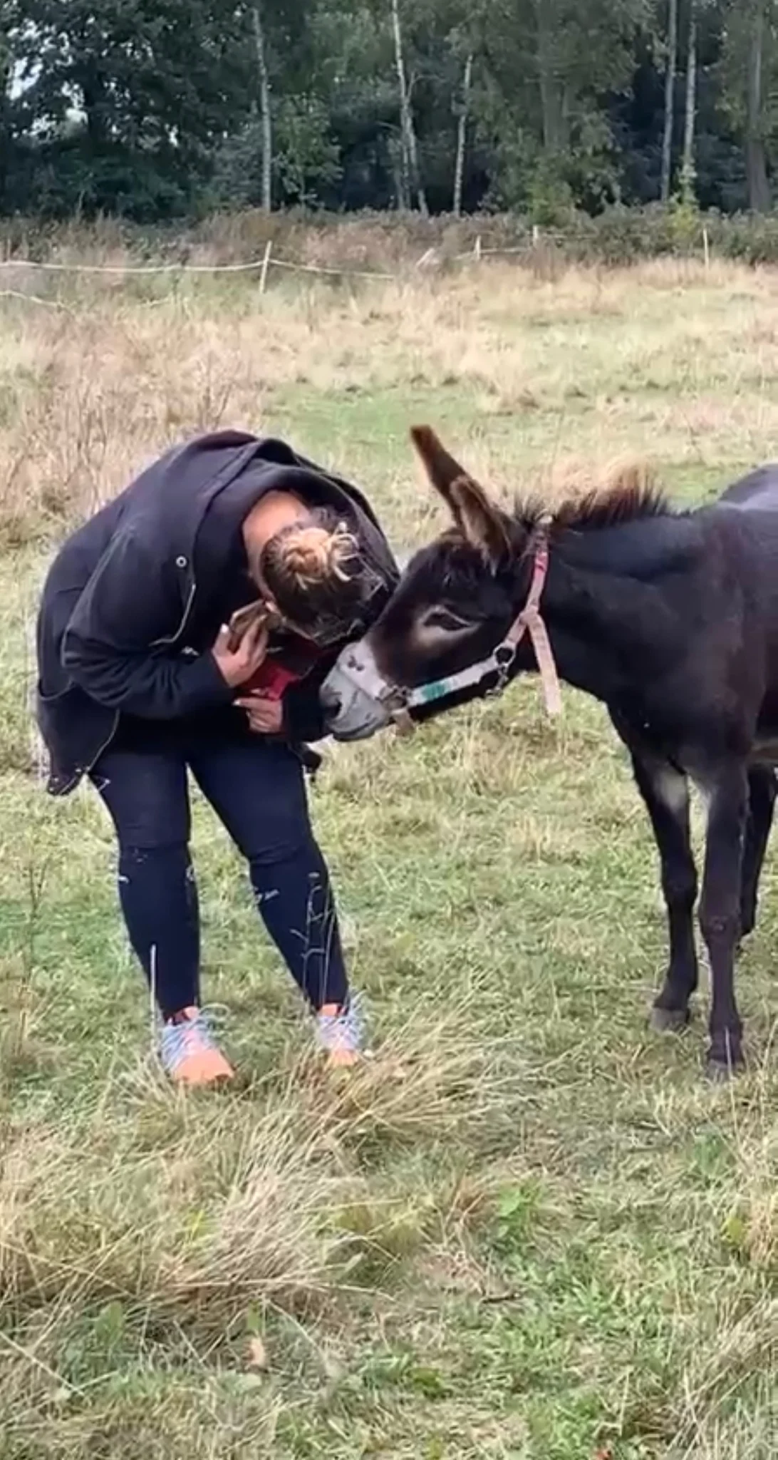 Projížďka na oslíkovi nebo poníkovi pro děti: zážitek v přírodě na 20 či 45 min.