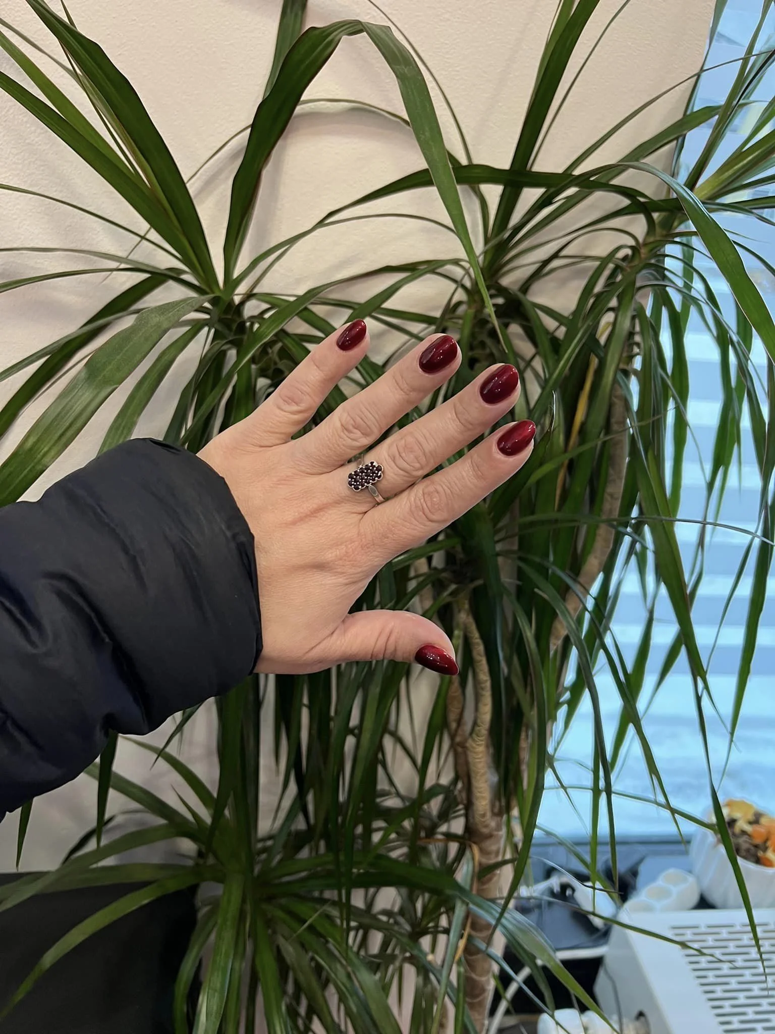 Star Nails: manikúra s Shellacem či mokrá pedikúra s gel lakem
