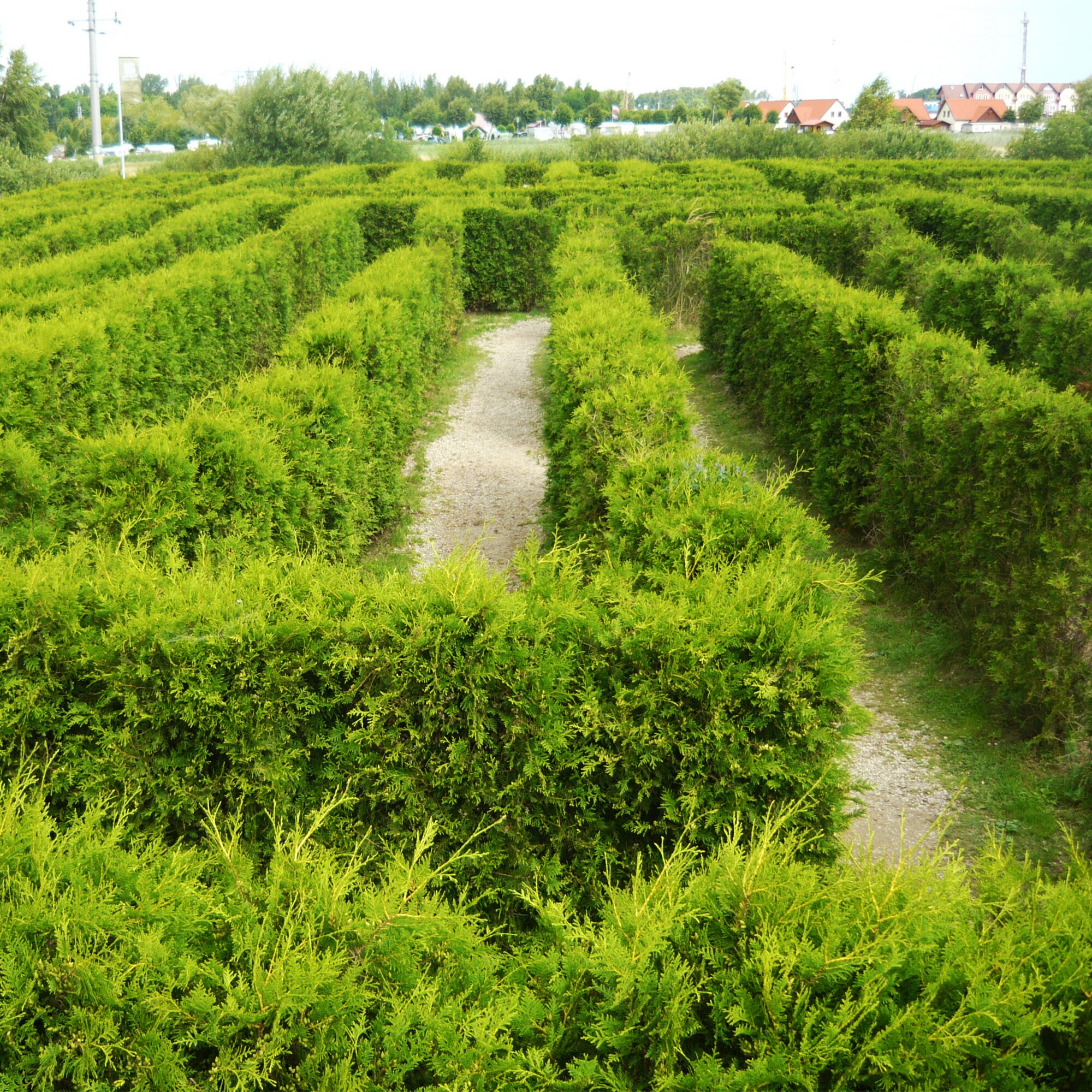 Labyrint v Lebě Slevomat.cz