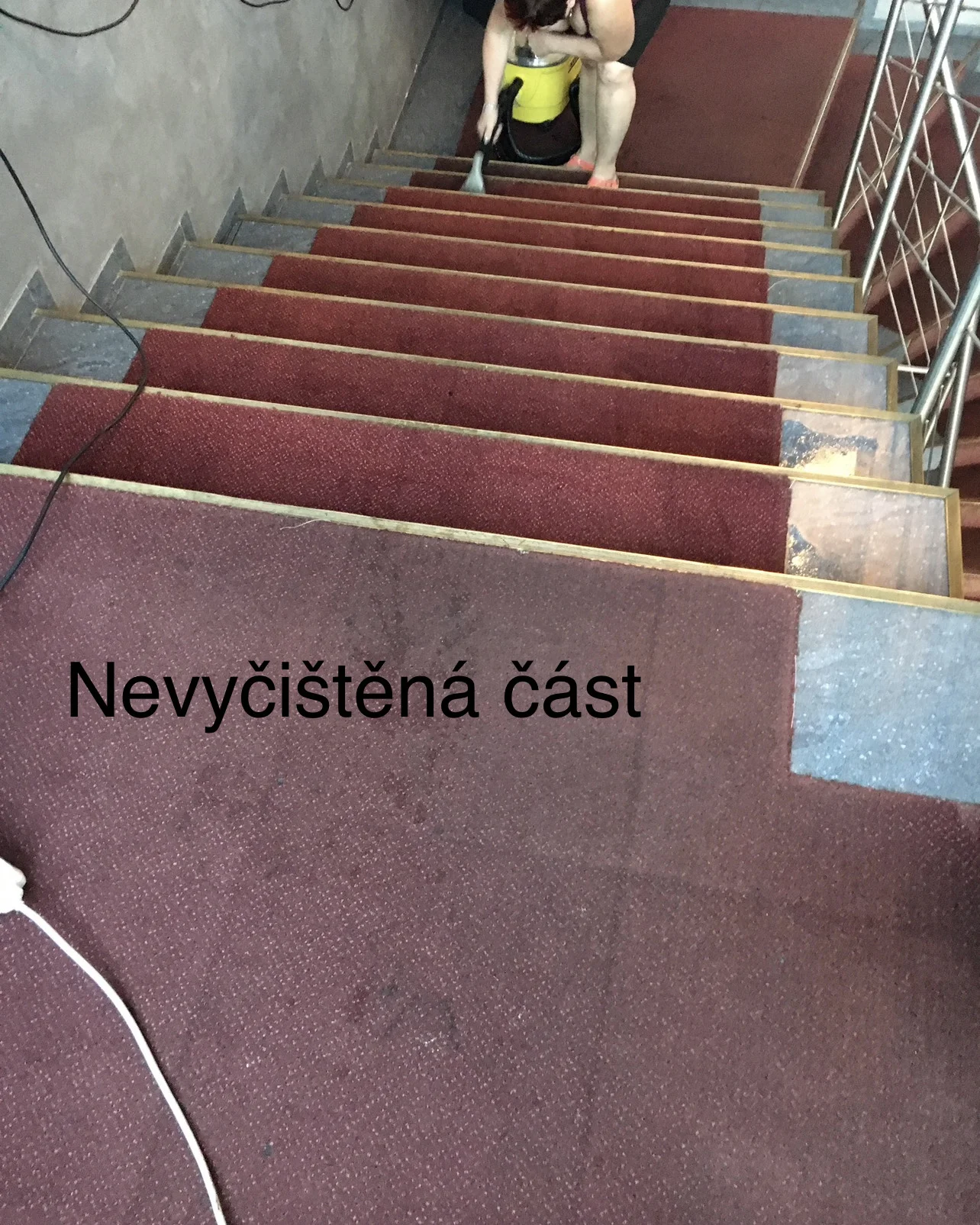 Půjčení tepovacího stroje Kärcher Professional Puzzi na 2 dny