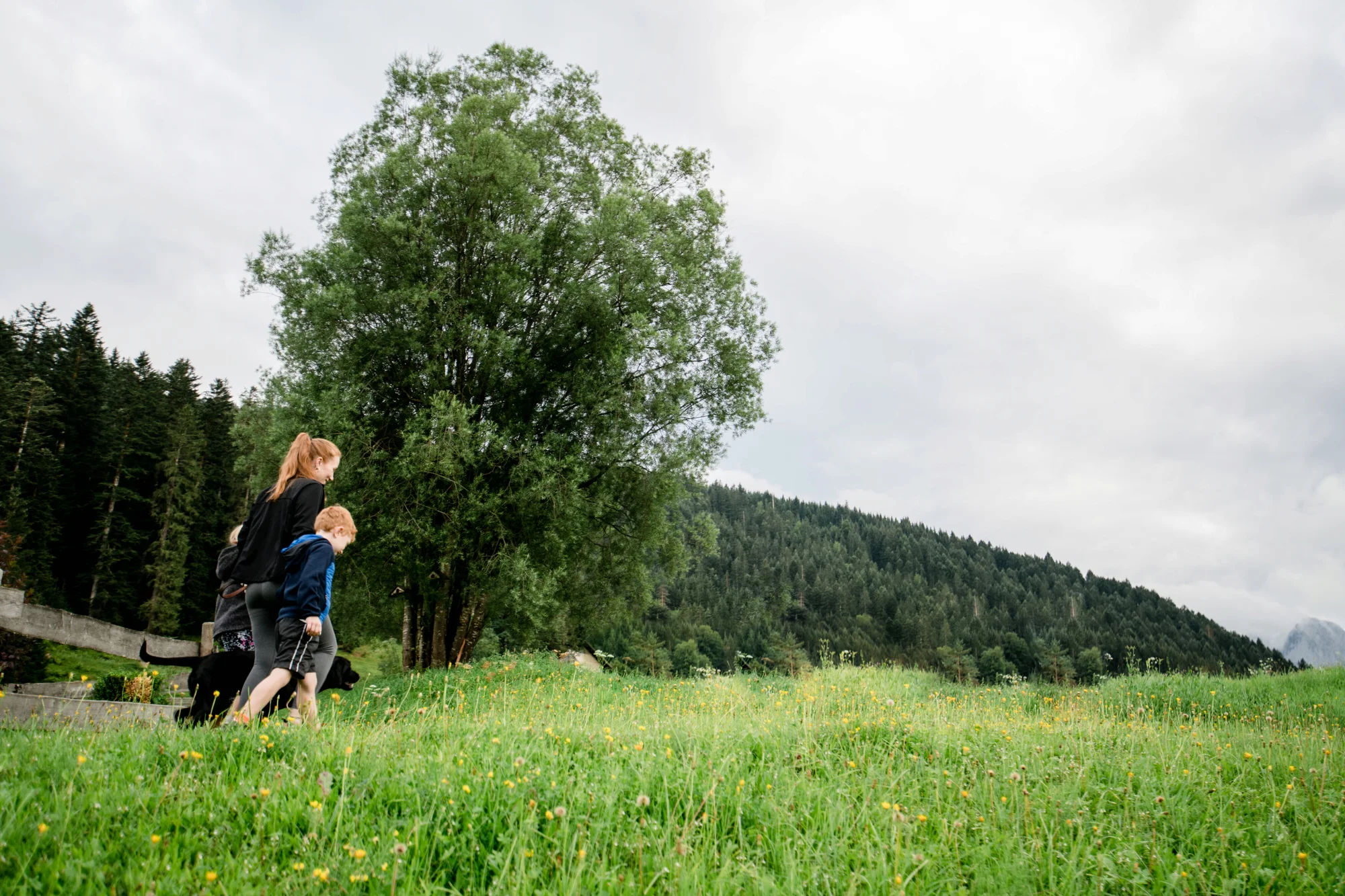 Dovolená v regionu Dachstein: hotel s polopenzí či all inclusive, neomezený wellness, letní karta hosta plná výhod
