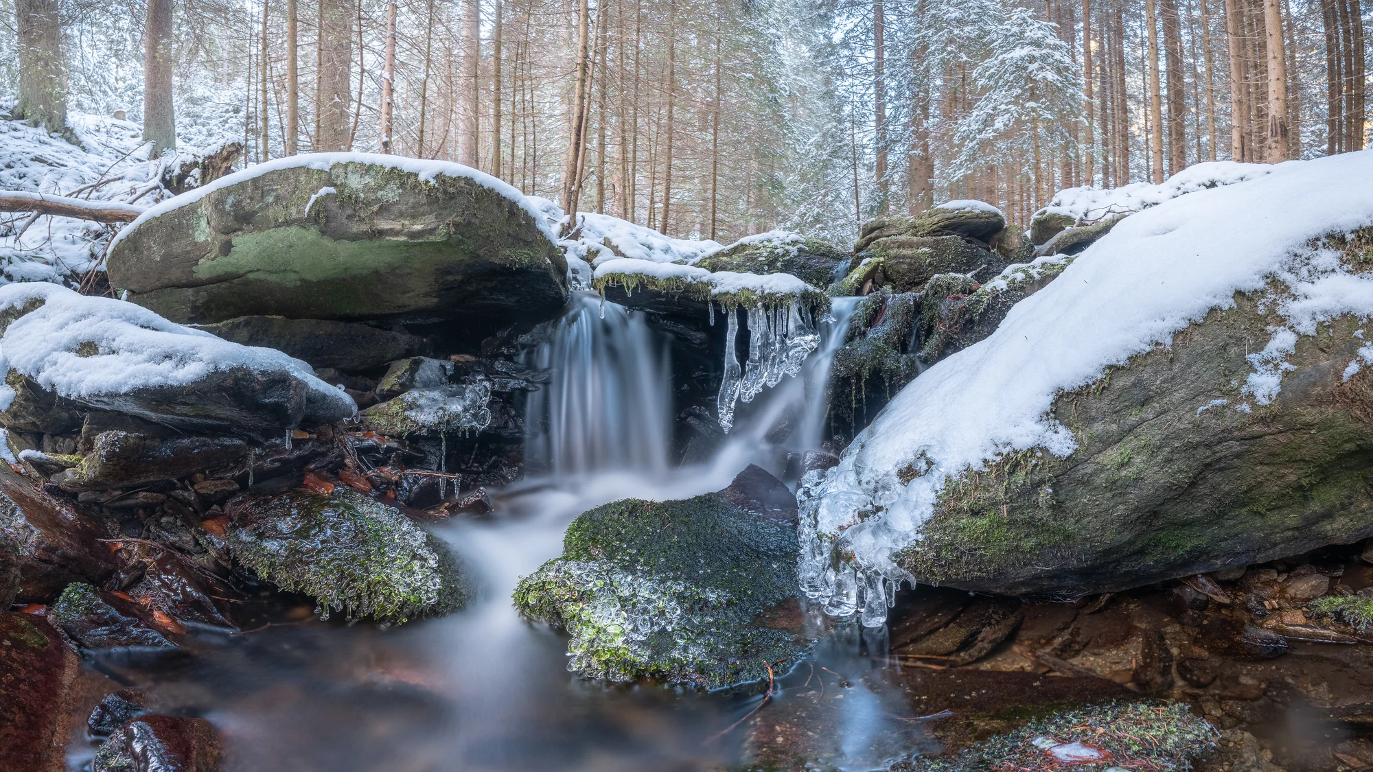 1–3 hod. individuálního fotografického kurzu v exteriéru pro začátečníky i mírně pokročilé