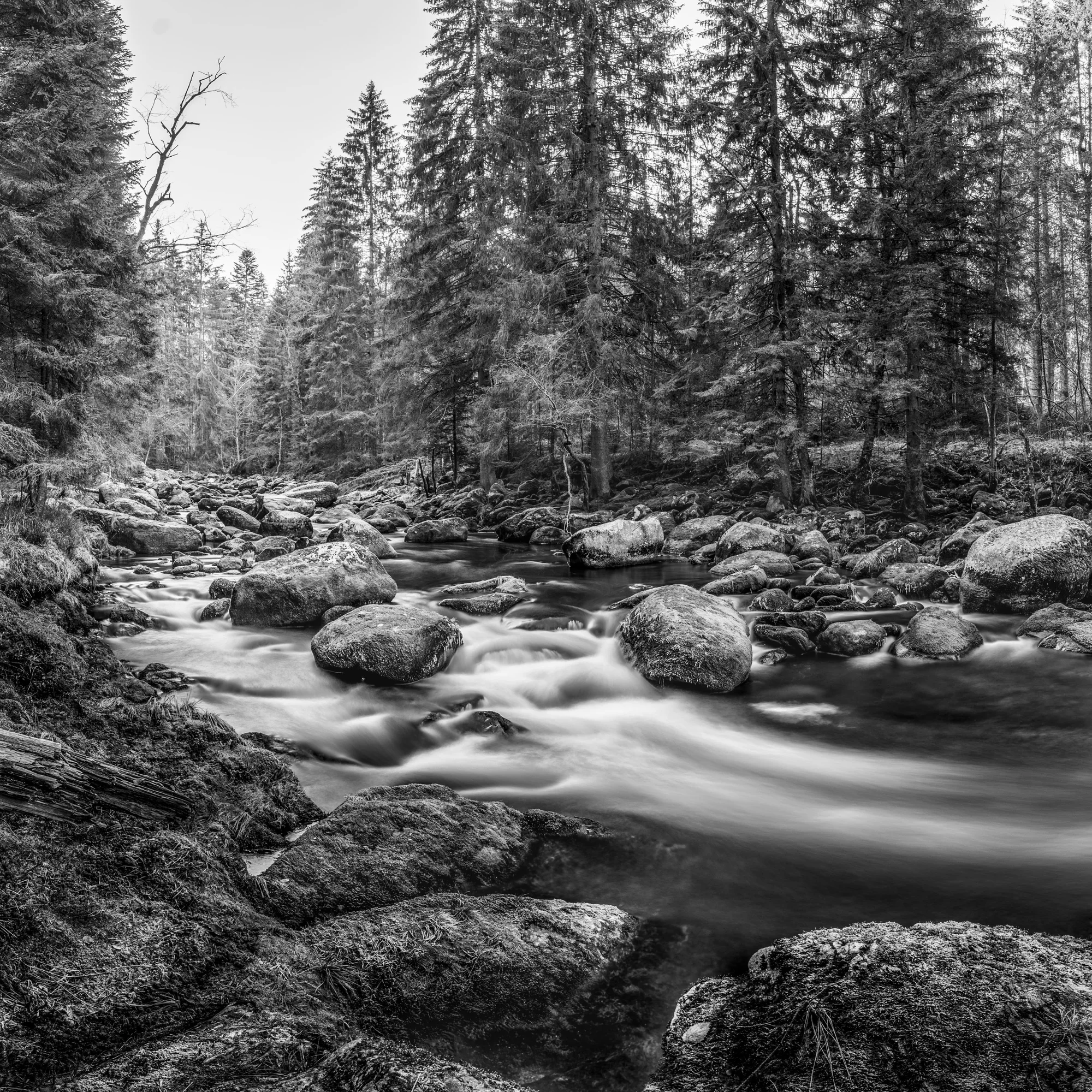 1–3 hod. individuálního fotografického kurzu v exteriéru pro začátečníky i mírně pokročilé