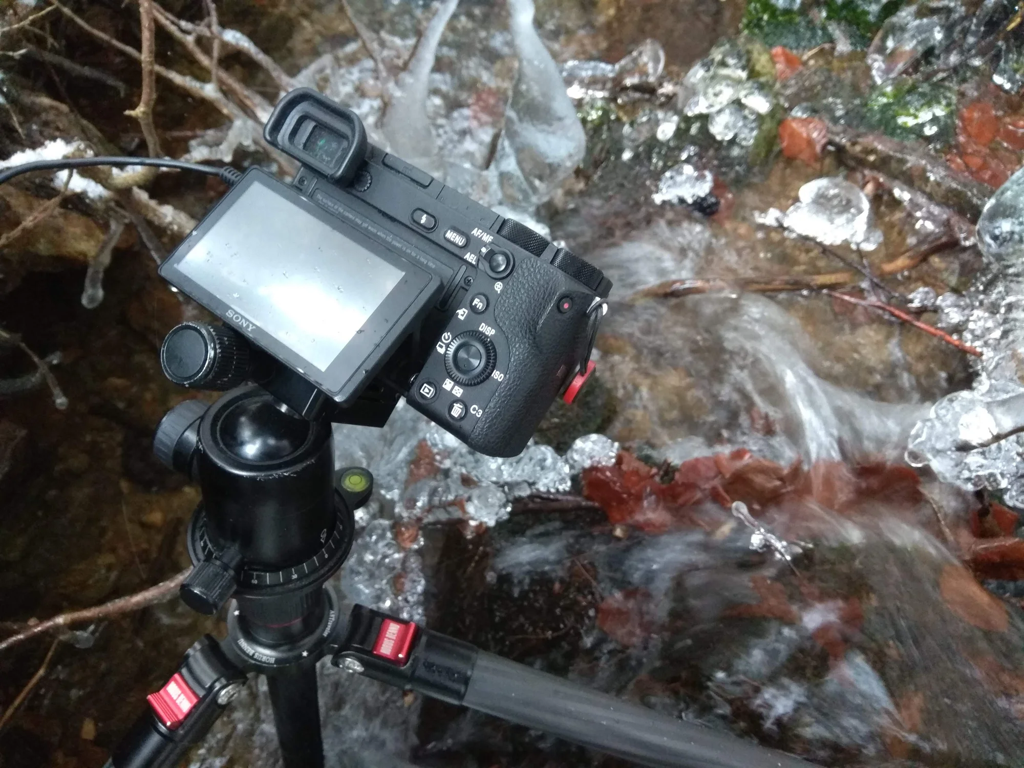 1–3 hod. individuálního fotografického kurzu v exteriéru pro začátečníky i mírně pokročilé