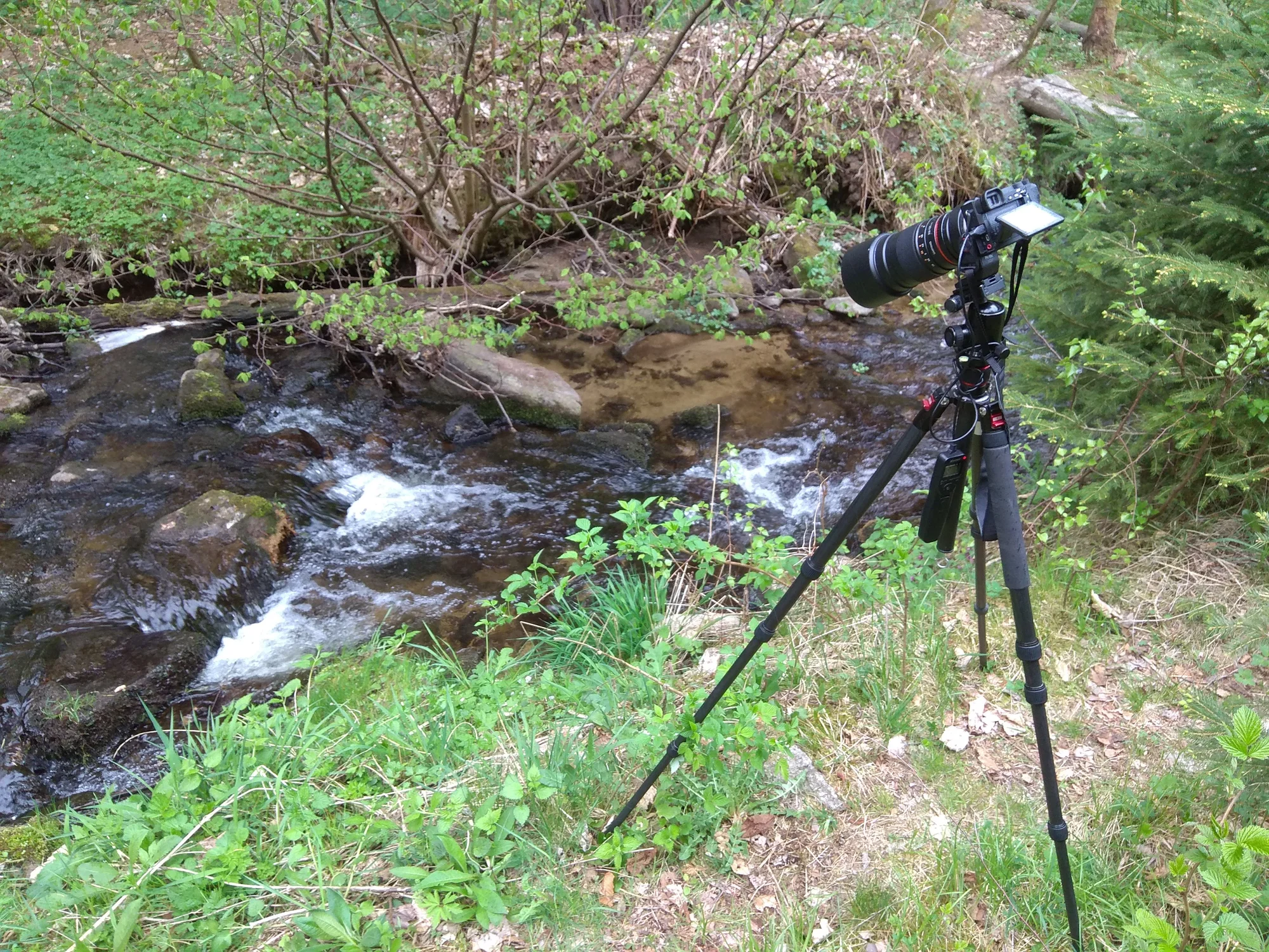 1–3 hod. individuálního fotografického kurzu v exteriéru pro začátečníky i mírně pokročilé