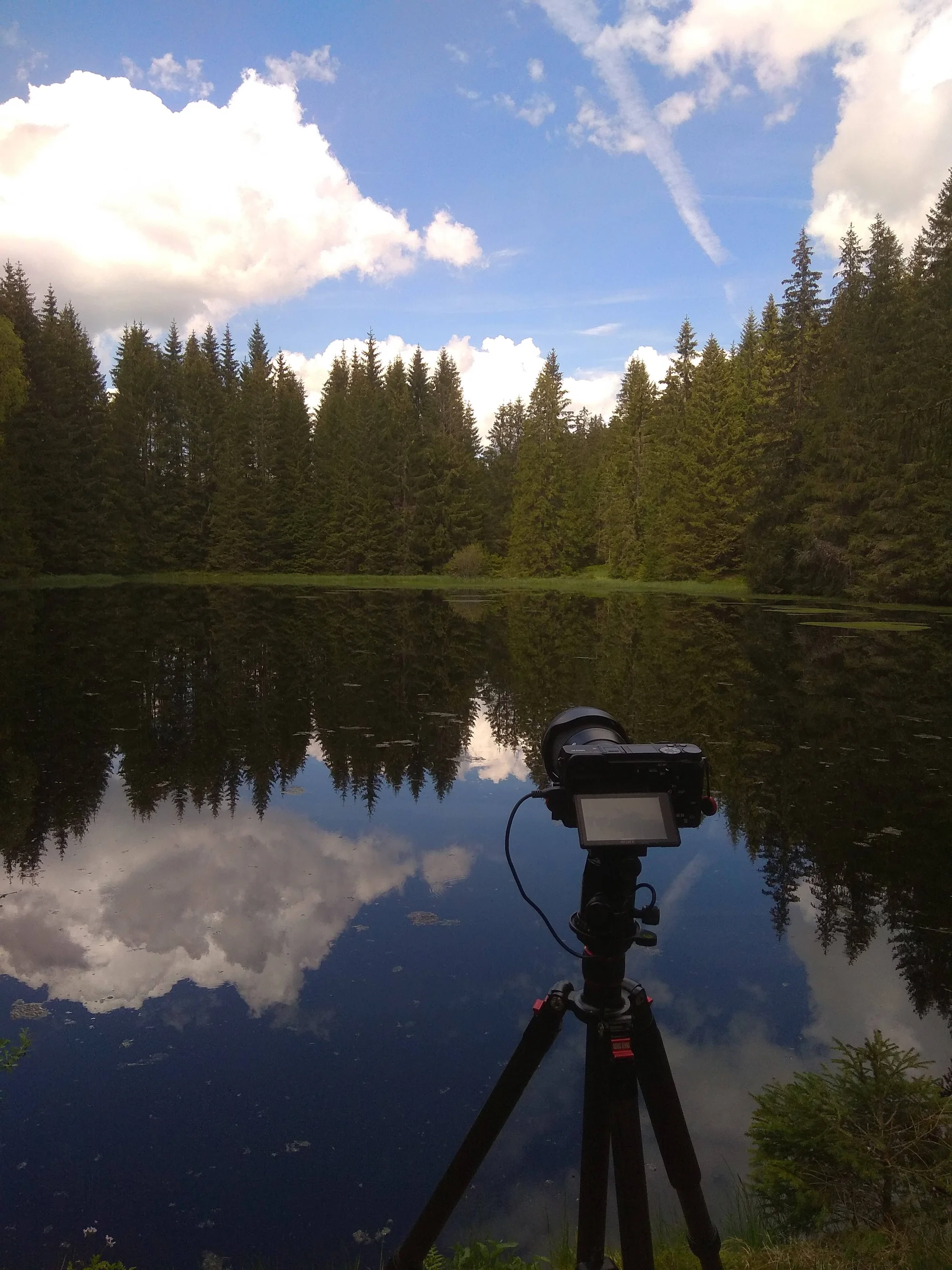 1–3 hod. individuálního fotografického kurzu v exteriéru pro začátečníky i mírně pokročilé
