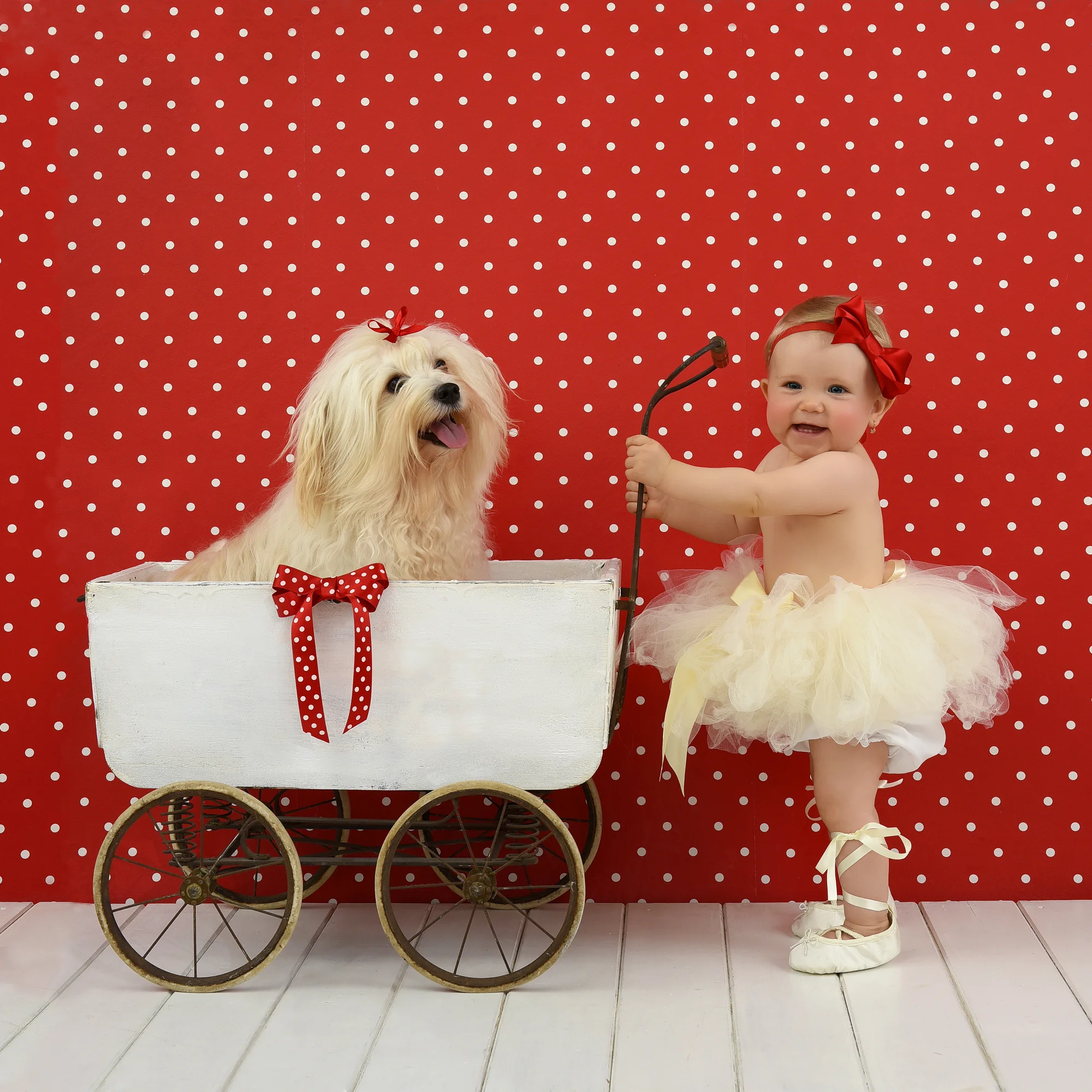 Rodinné focení pro celou rodinu s profi fotografkou: od miminek až po seniory