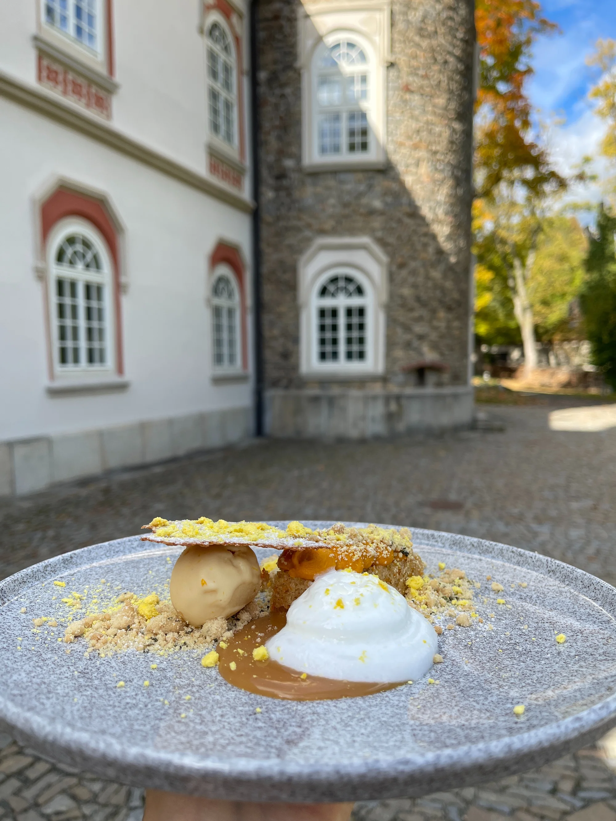 Tříchodové obědové menu v zámecké restauraci Honoria Chateau Herálec*****