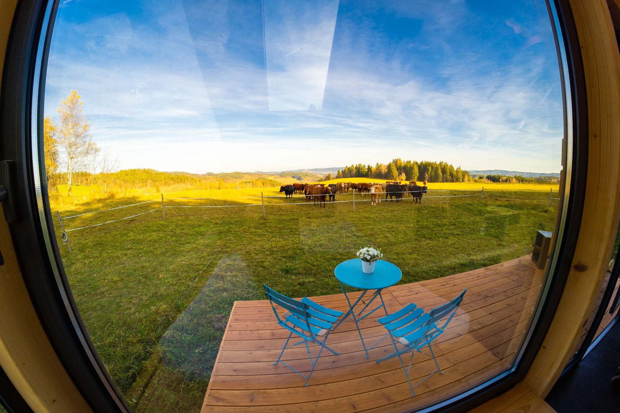 Glamping blízko Lipna: tiny house až pro 4 os. s venkovní saunou, ochlazovací kádí a grilem