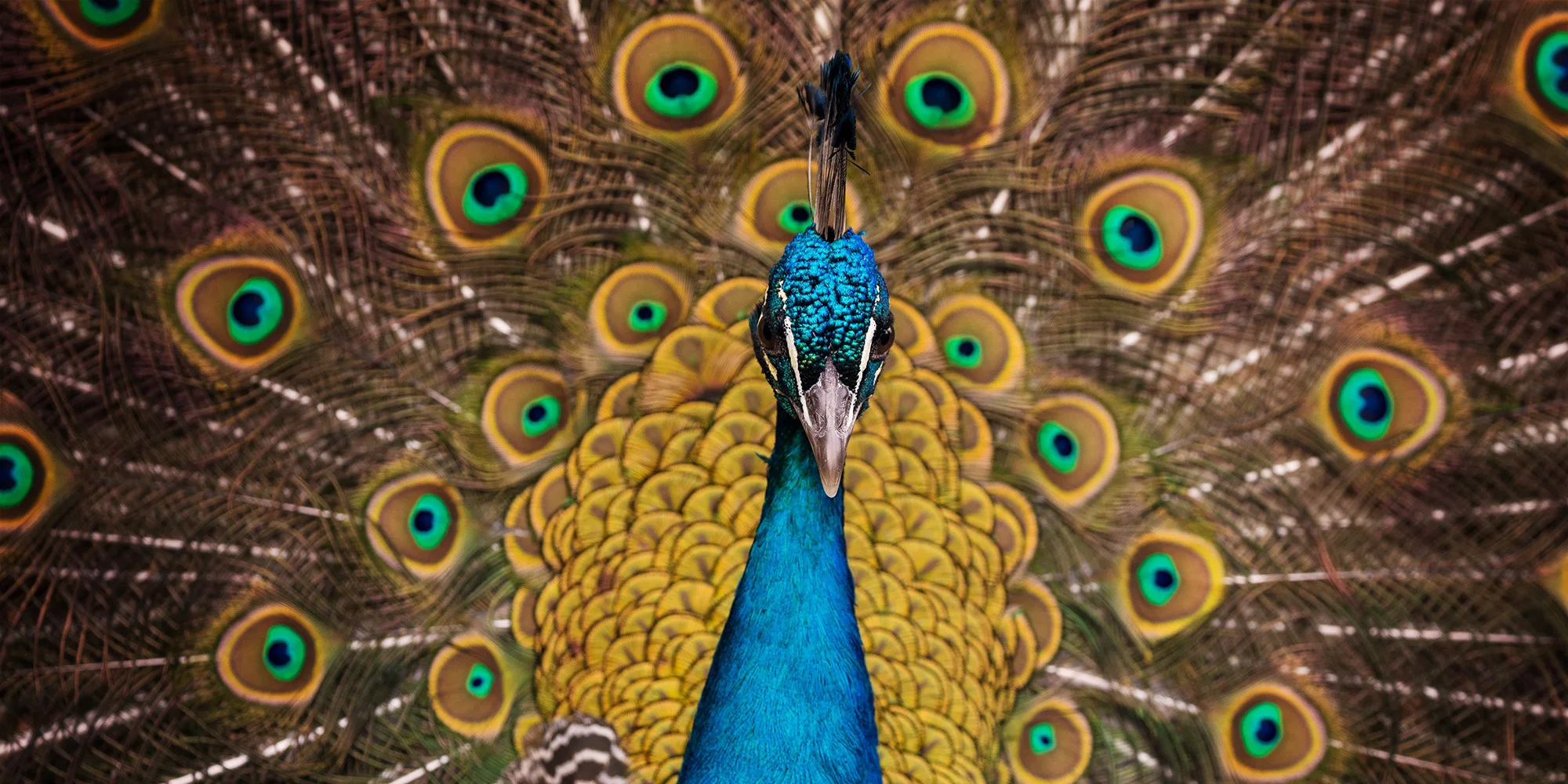 Fotografický prémium kurz v 5 různých zoo pro začátečníky i pokročilé