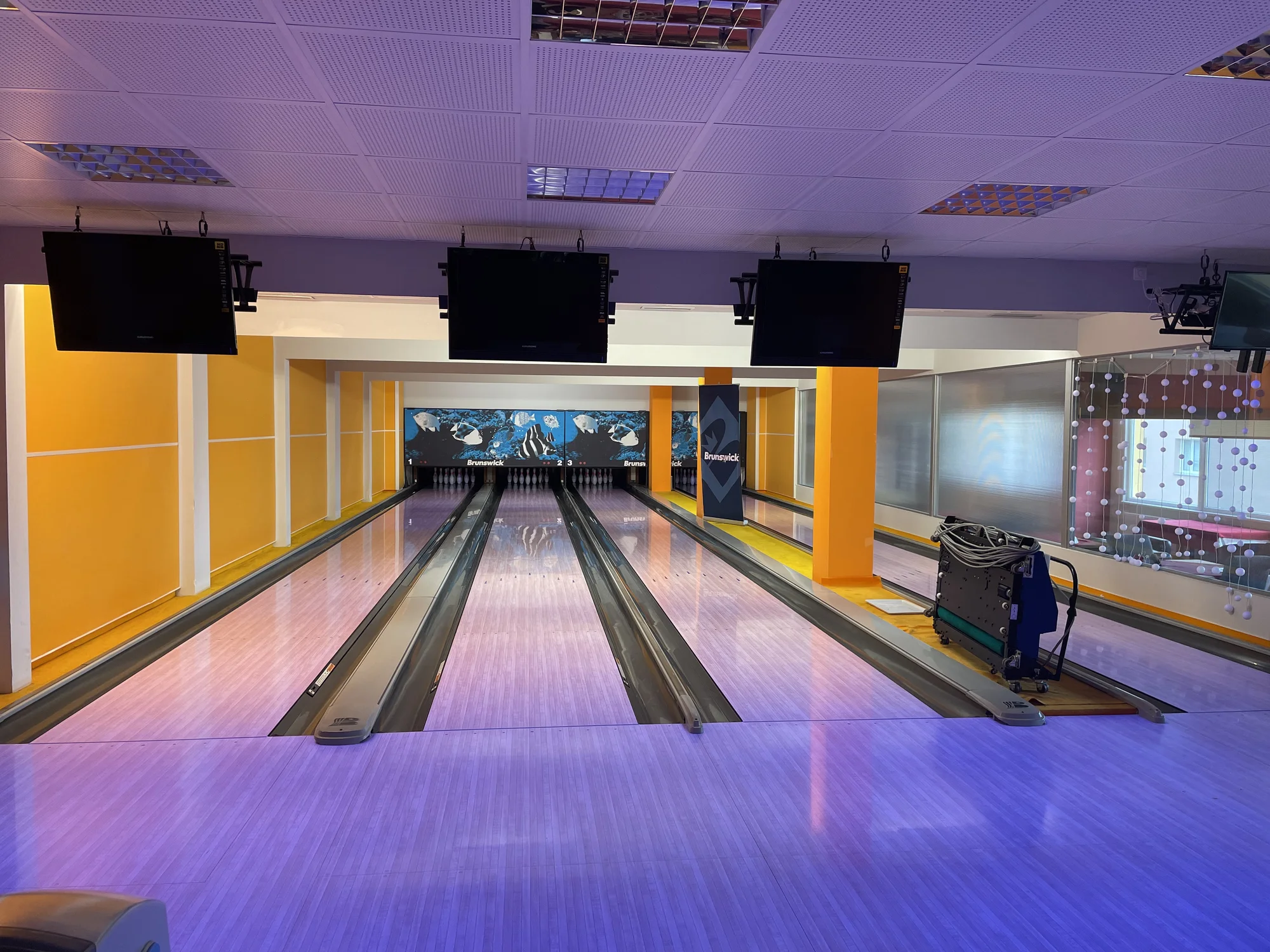 2 hod. bowlingu, mix řízků o váze 600 g, cibulové kroužky a další přílohy až pro 6 osob