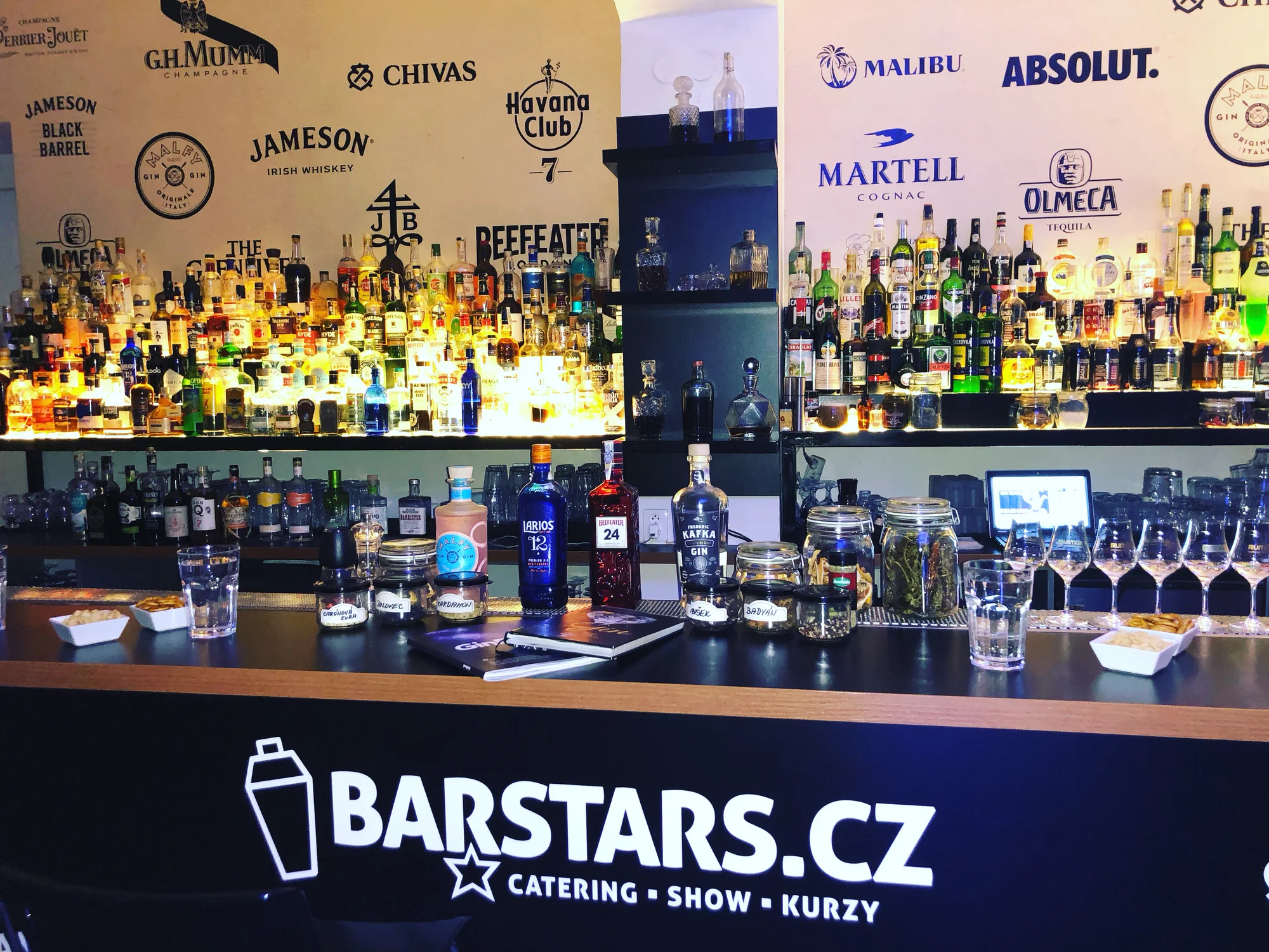 Degustace ginů a párování s toniky včetně odborného výkladu pro 1–4 osoby
