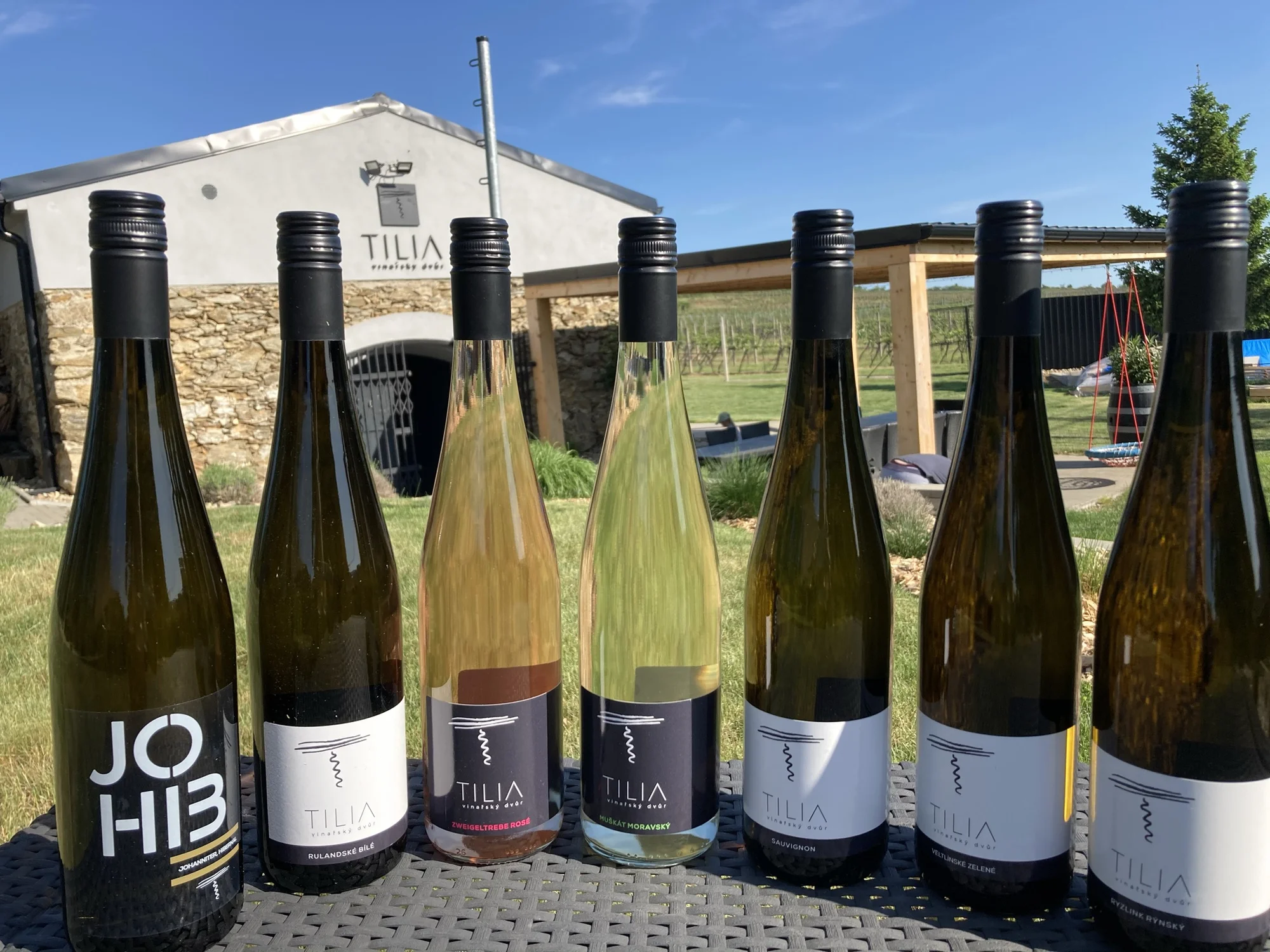 Prohlídka vinařství s degustací 6 až 8 vzorků vína i včetně pohoštění