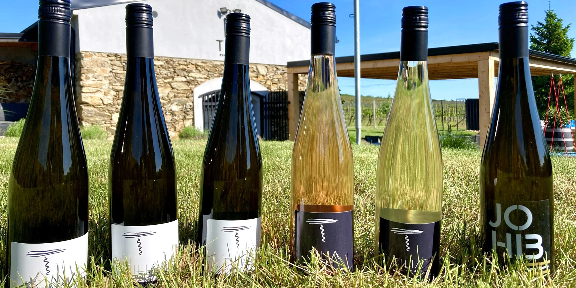 Prohlídka vinařství s degustací 6 až 8 vzorků vína i včetně pohoštění