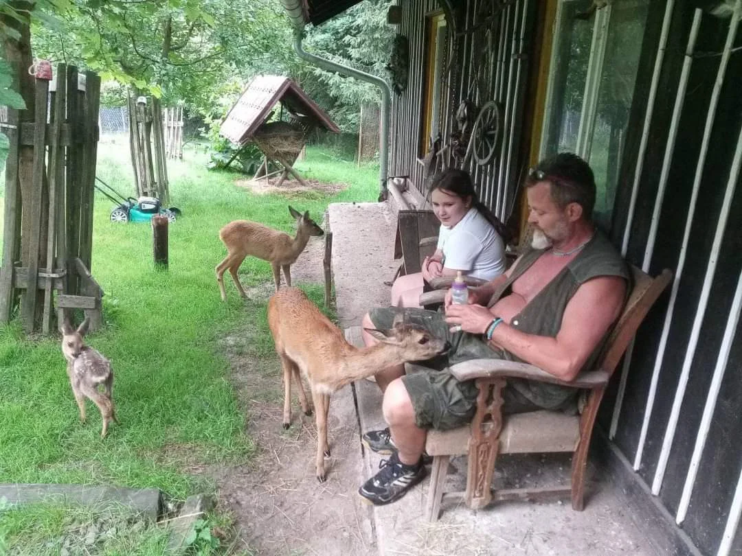 Komentovaná prohlídka Zoocentra Srdov s možností přímého krmení zvěře