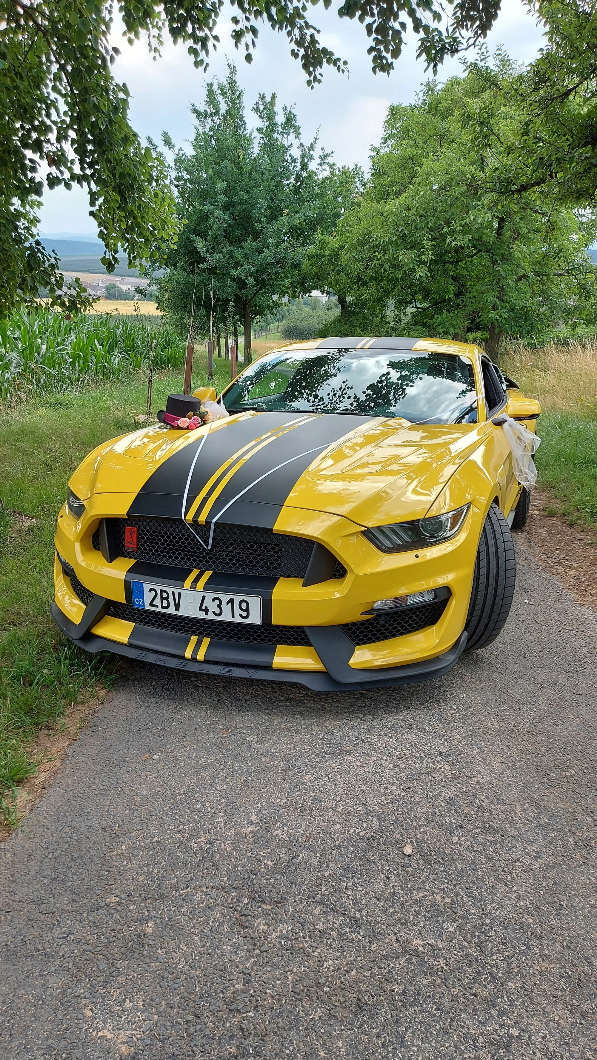 Ford Mustang GT Performance se 470 koni: jízda na 15 min. až 24 hod.
