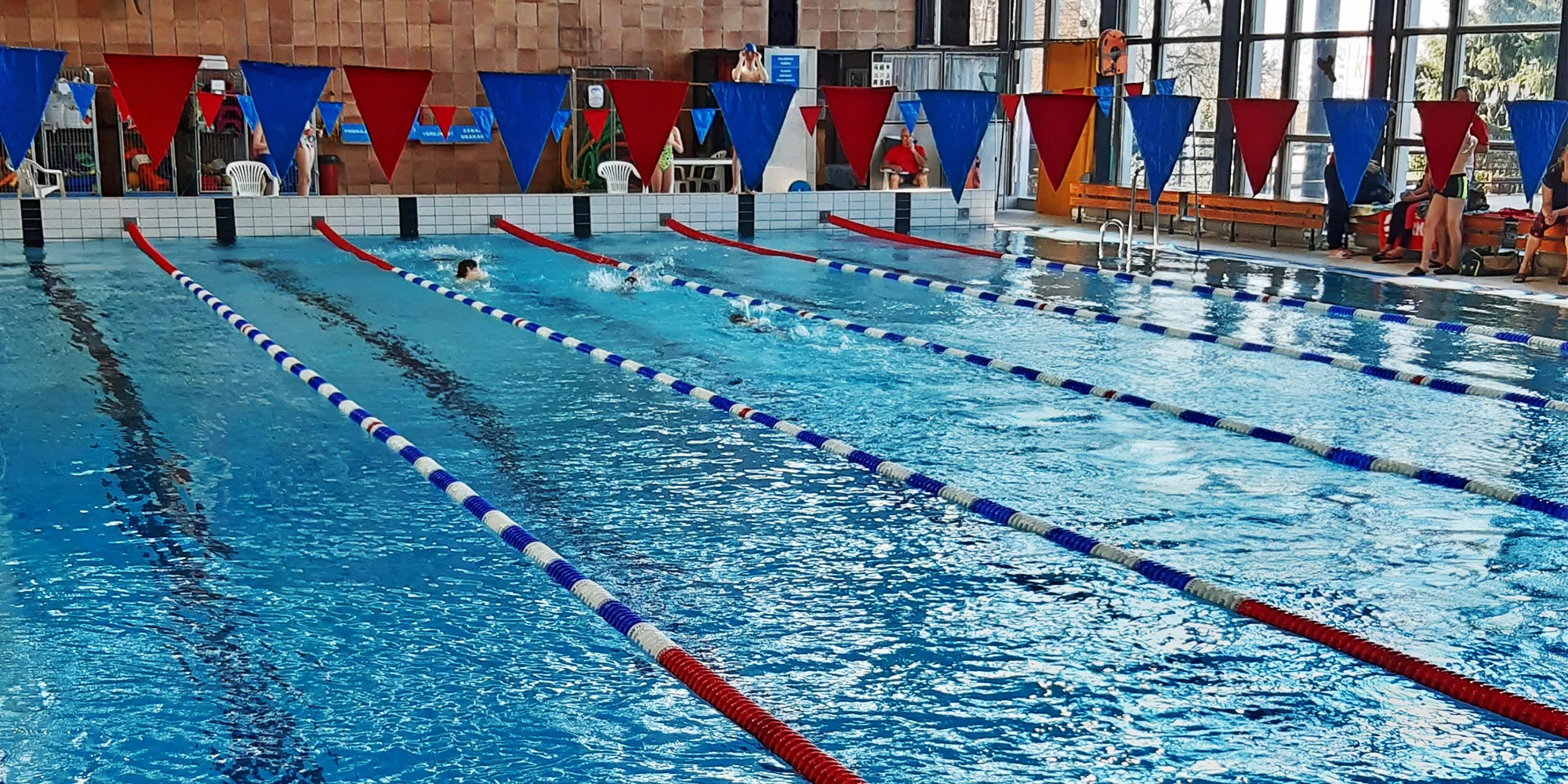 Plavání s ploutvemi a monoploutví pro děti: 1 nebo 3 zkušební hodiny