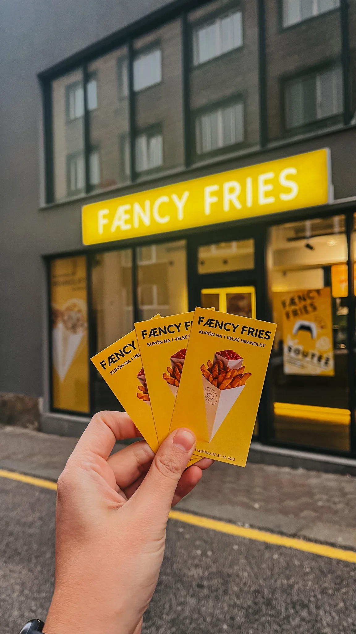 Velké hranolky s dipem i trhaným vepřovým a limonádou ve Fæncy Fries