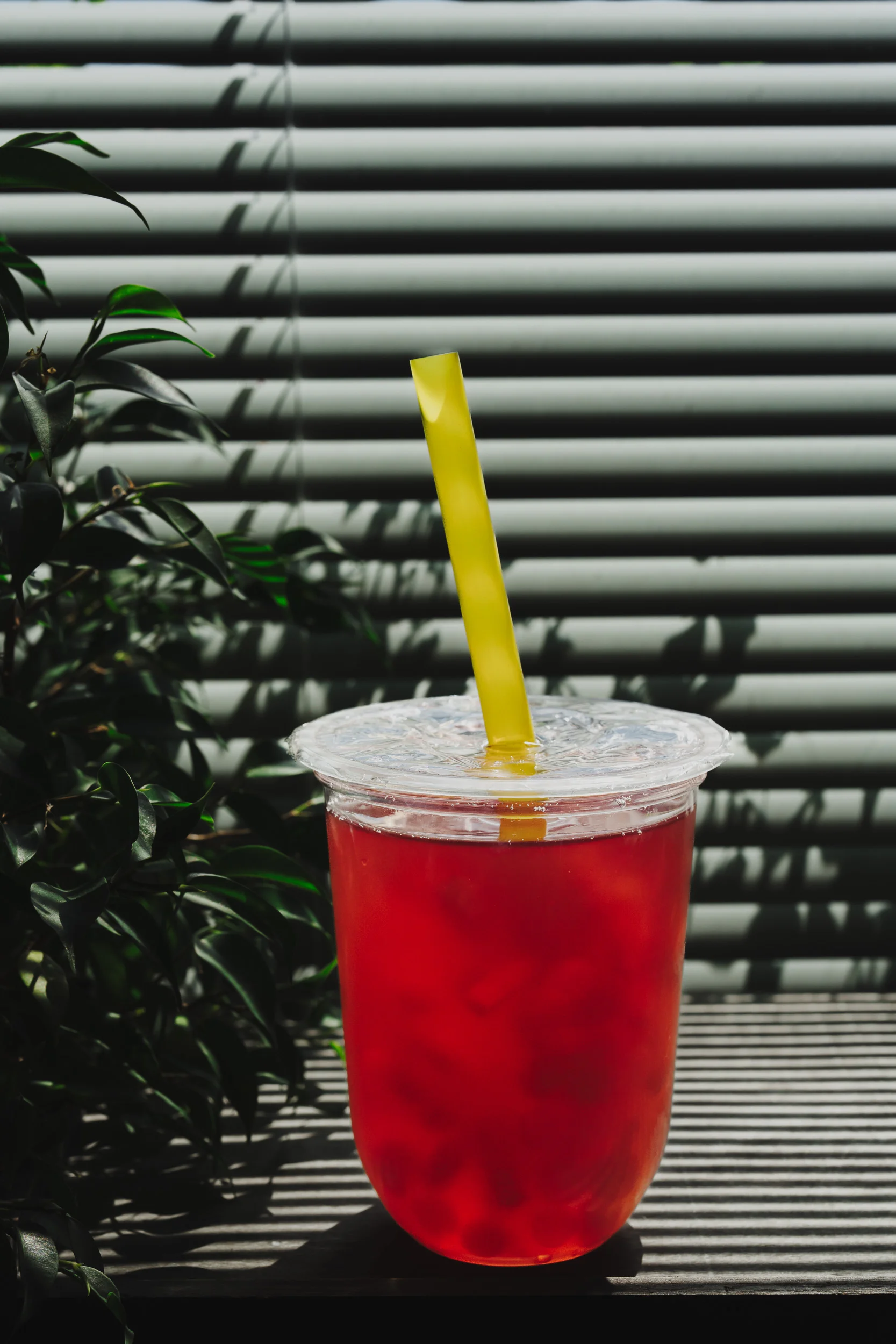 Velký bubble tea podle výběru: 18 druhů a 3 porce kuliček nebo želé