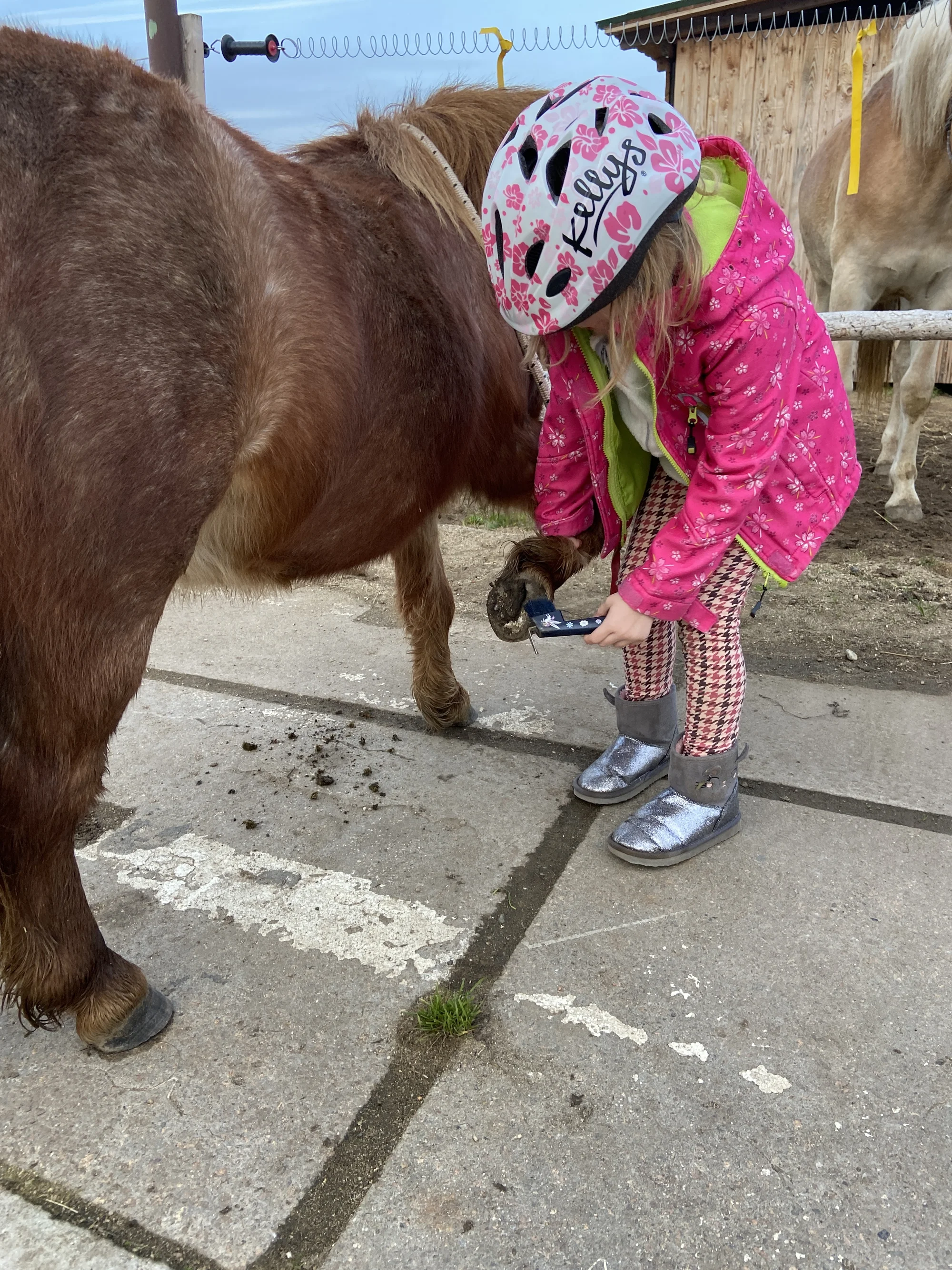 Zkuste si být na den farmářem: koně a poníci, teorie i zemědělské stroje