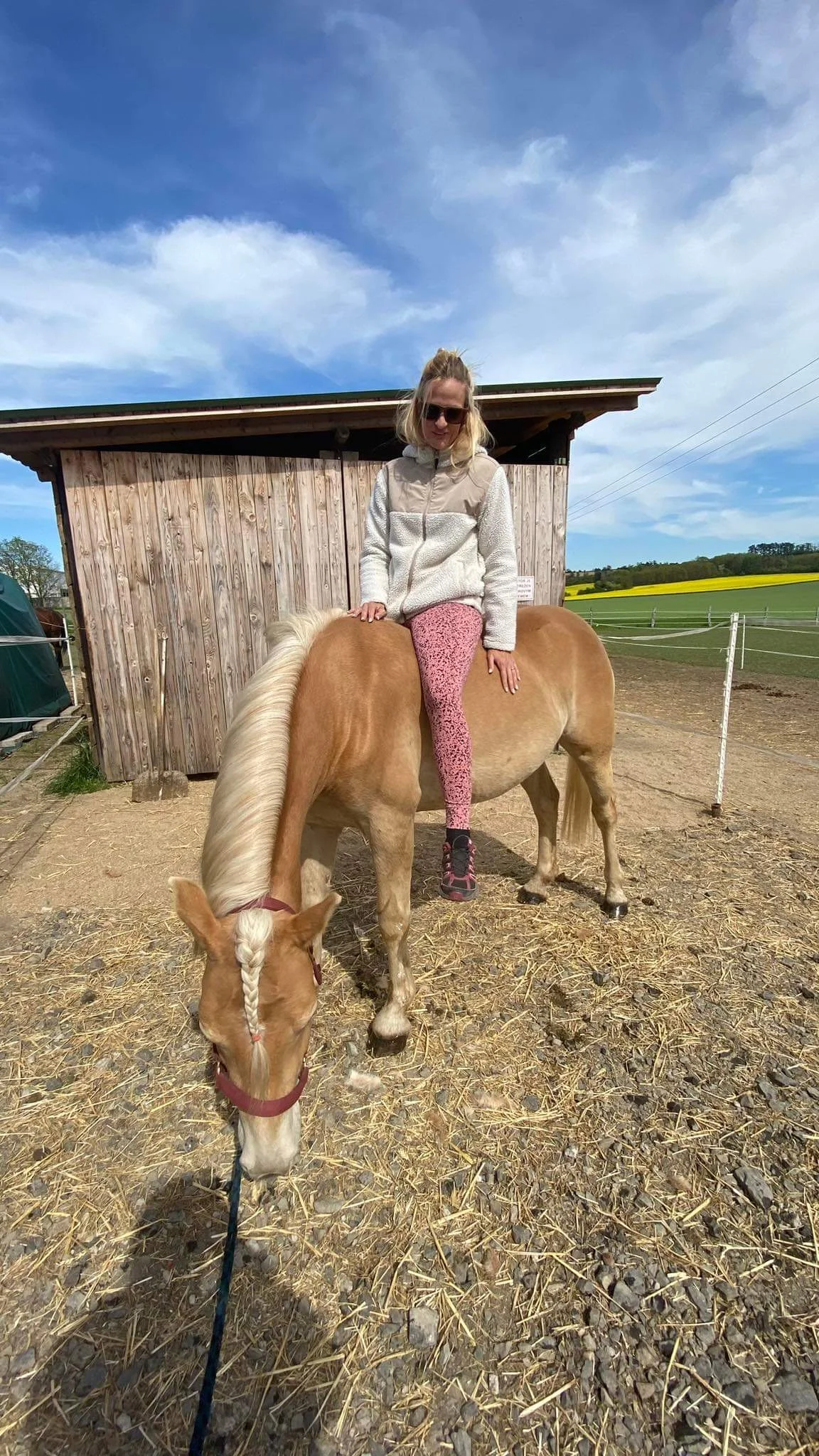 Zkuste si být na den farmářem: koně a poníci, teorie i zemědělské stroje