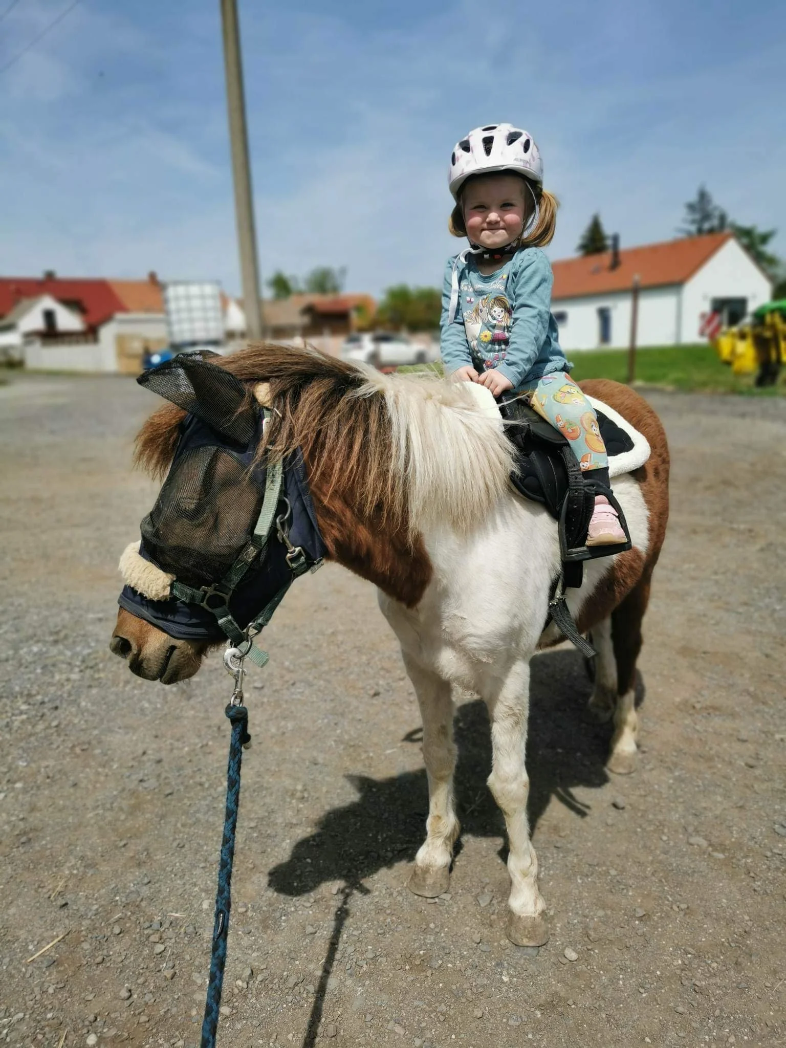 Zkuste si být na den farmářem: koně a poníci, teorie i zemědělské stroje