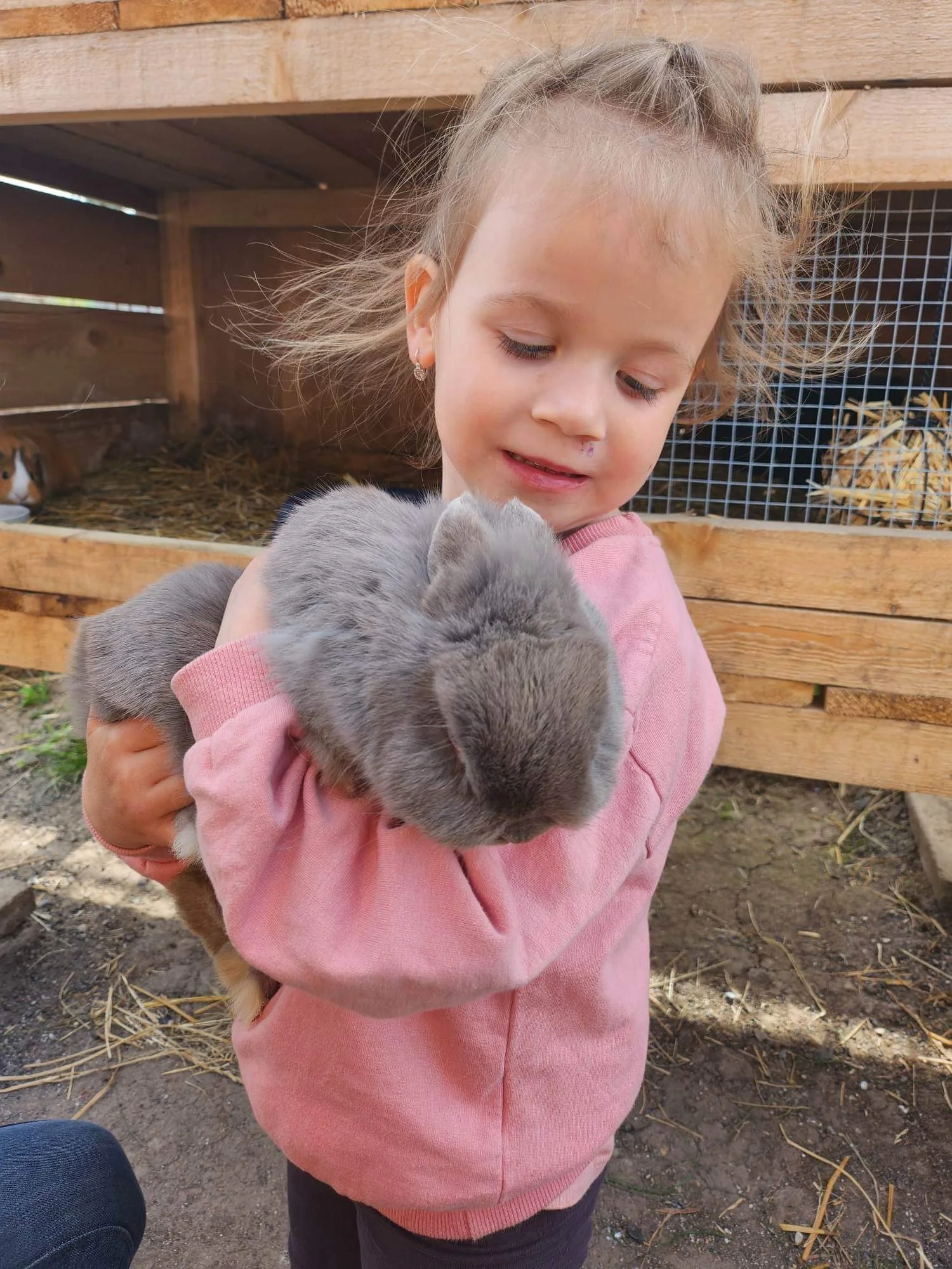 Zkuste si být na den farmářem: koně a poníci, teorie i zemědělské stroje