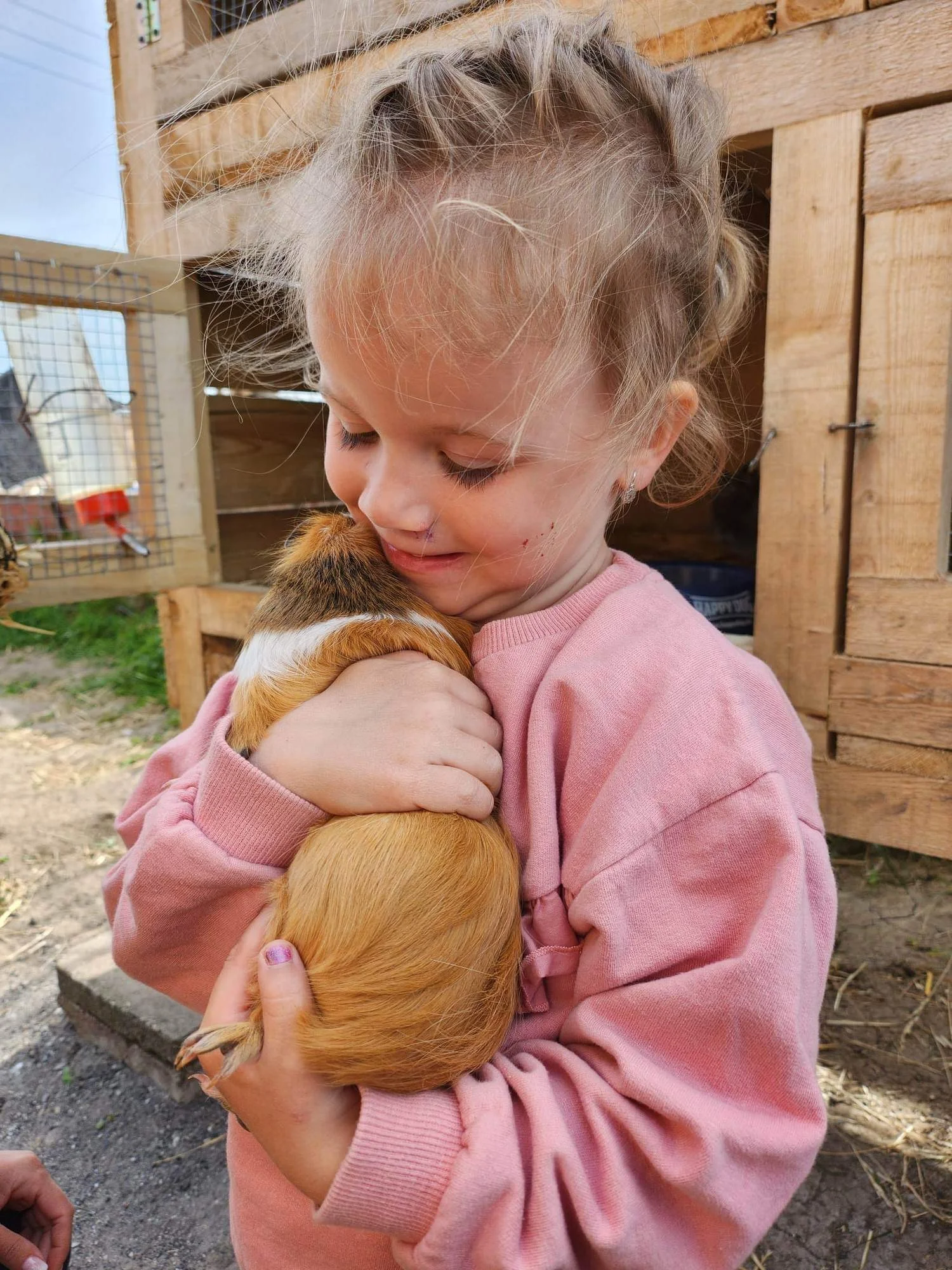Zkuste si být na den farmářem: koně a poníci, teorie i zemědělské stroje