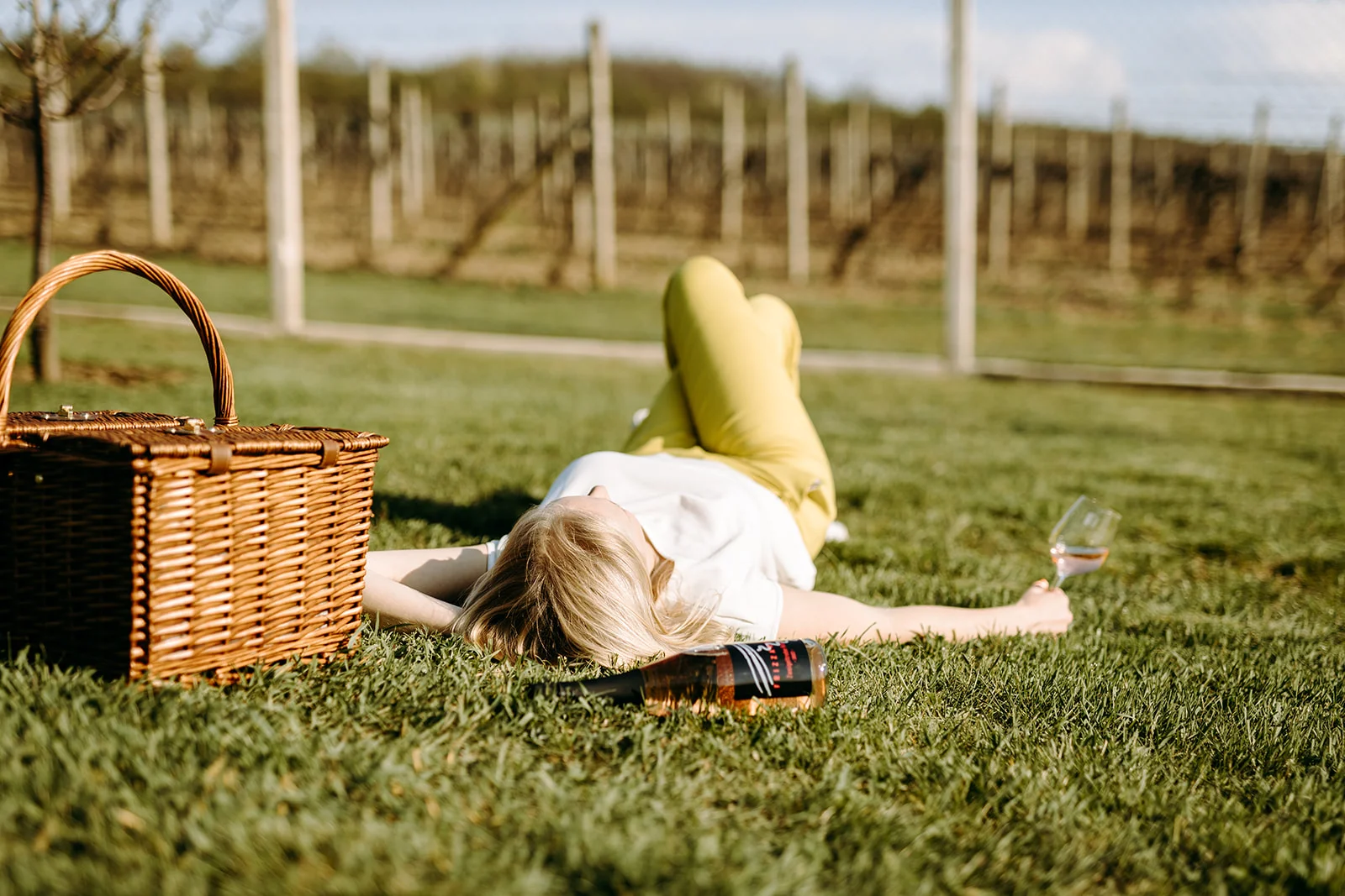 Prohlídka vinařství s degustací 6 až 8 vzorků vína i včetně pohoštění